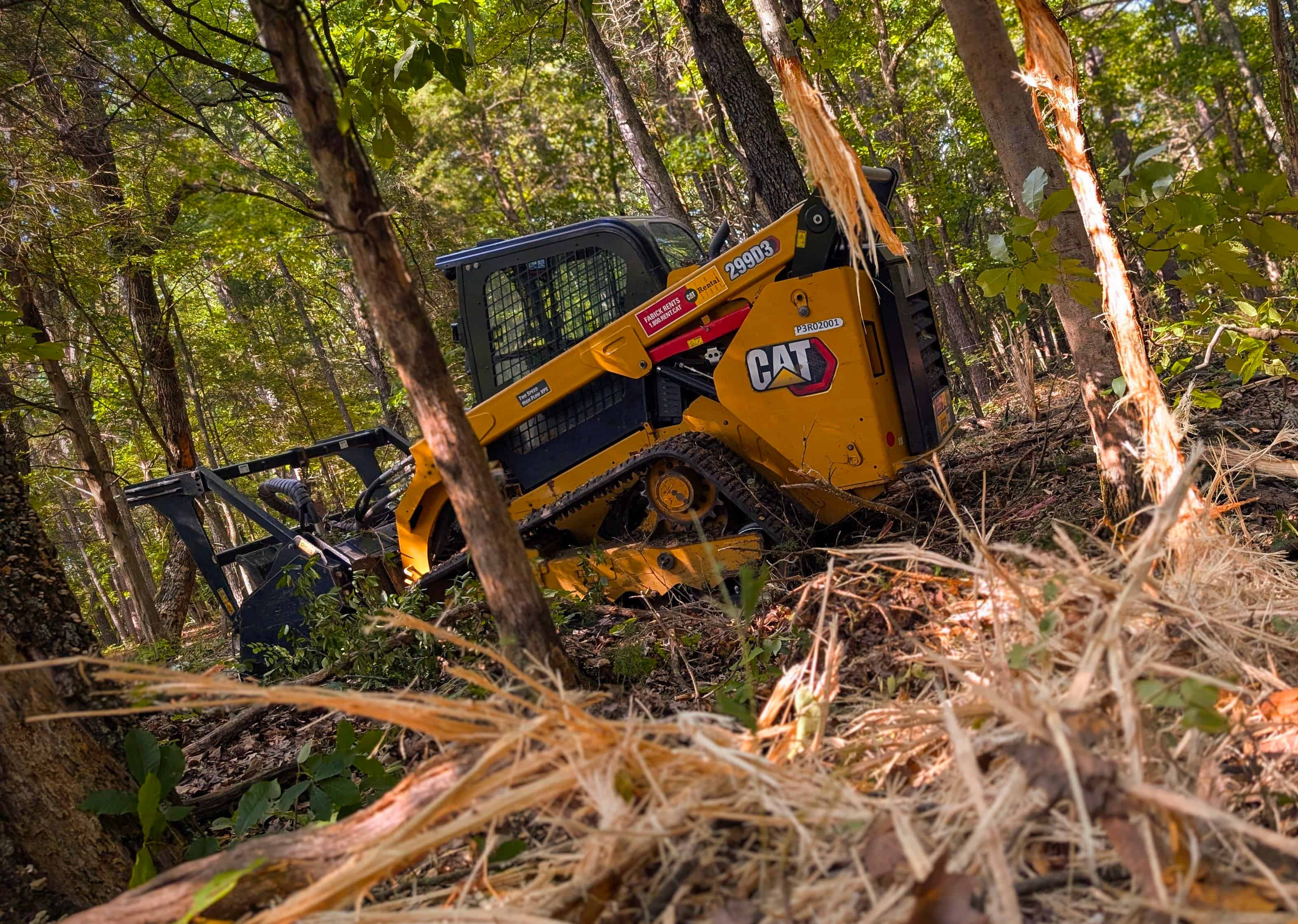 Forestry Mulching image