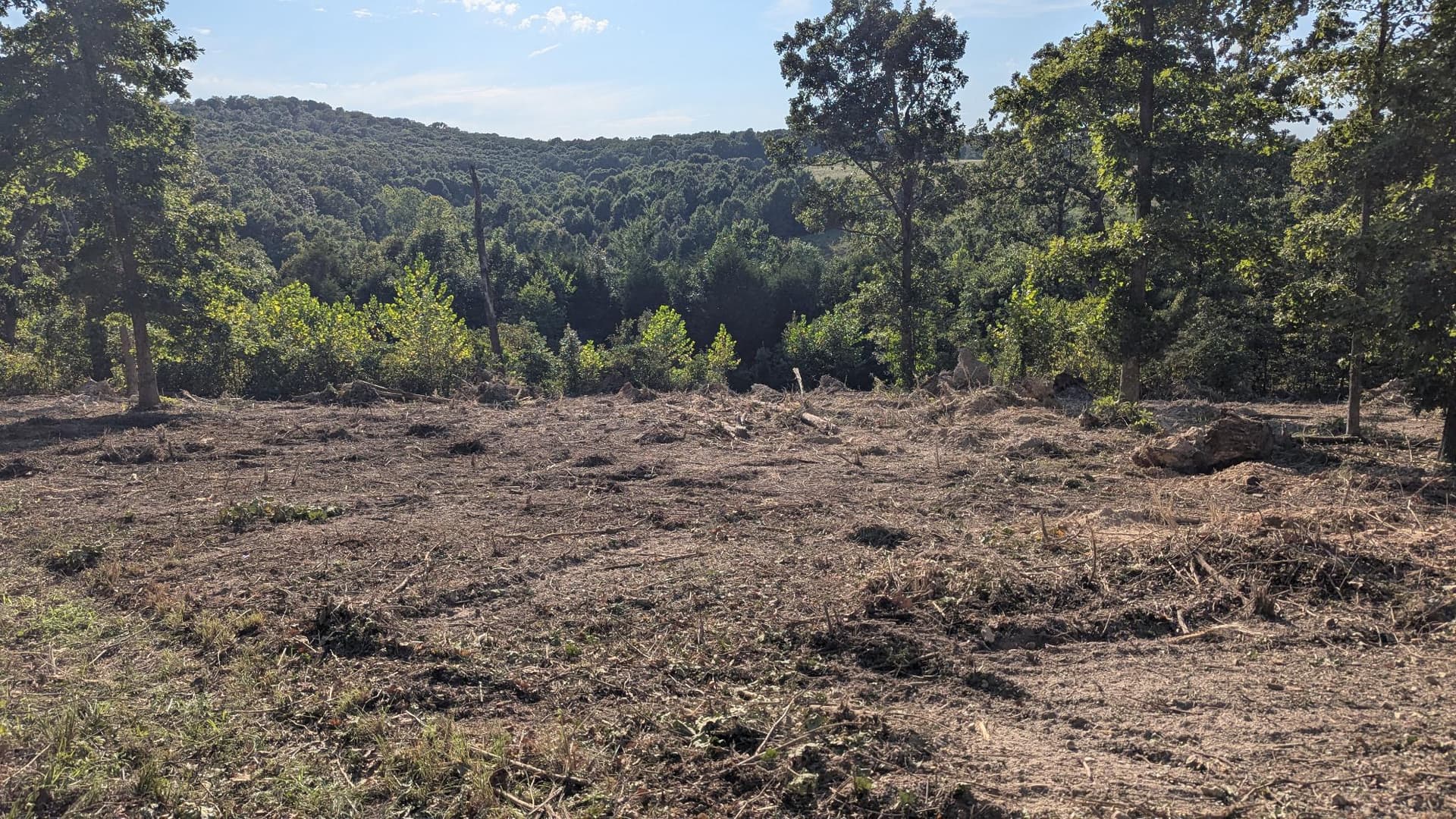 Hilltop Forestry Mulching Near the National Forest