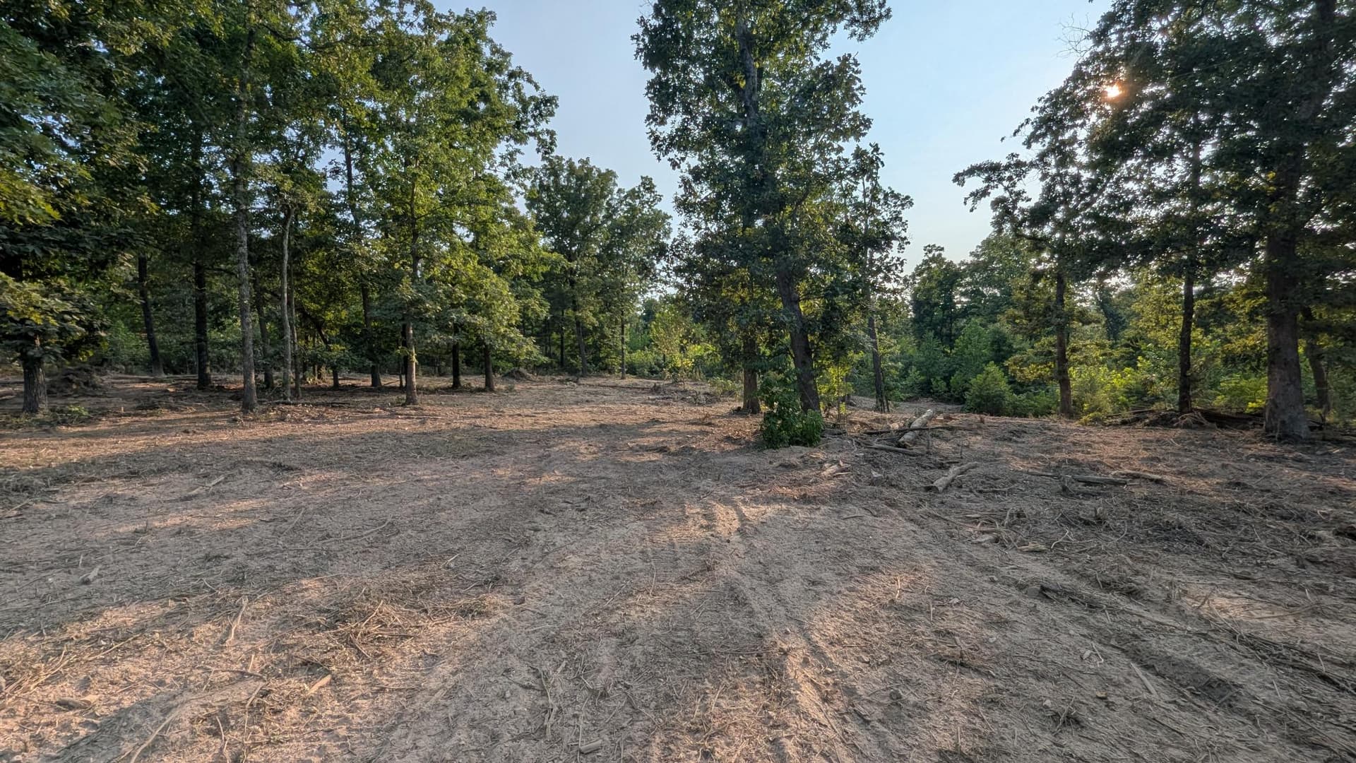 Gallery photos for 20 Acres of Forestry Mulching Progress in Brixey: Image #2