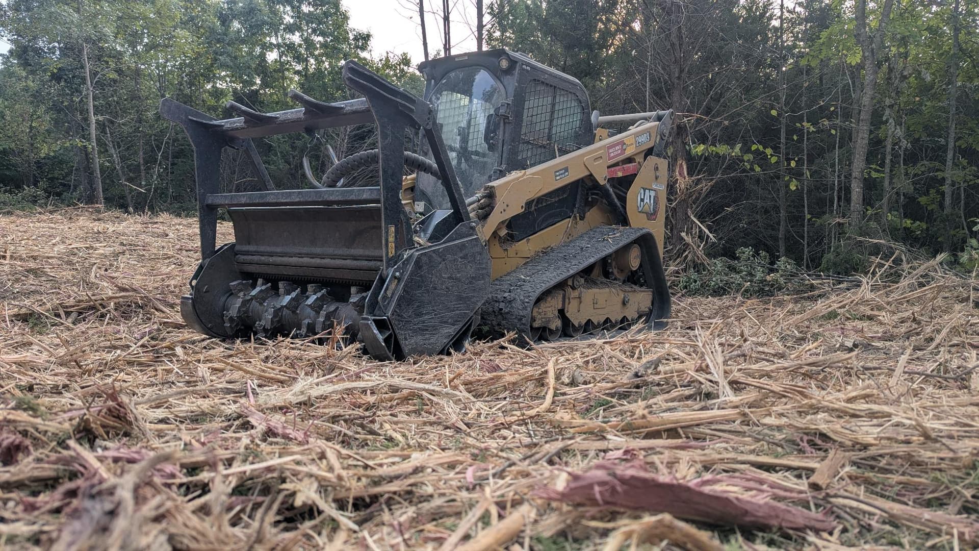 2 Acres Cleared and Reclaimed with Forestry Mulching
