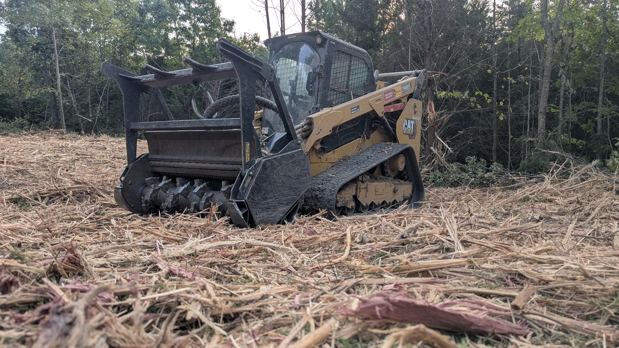Project 2 Acres Cleared and Reclaimed with Forestry Mulching image