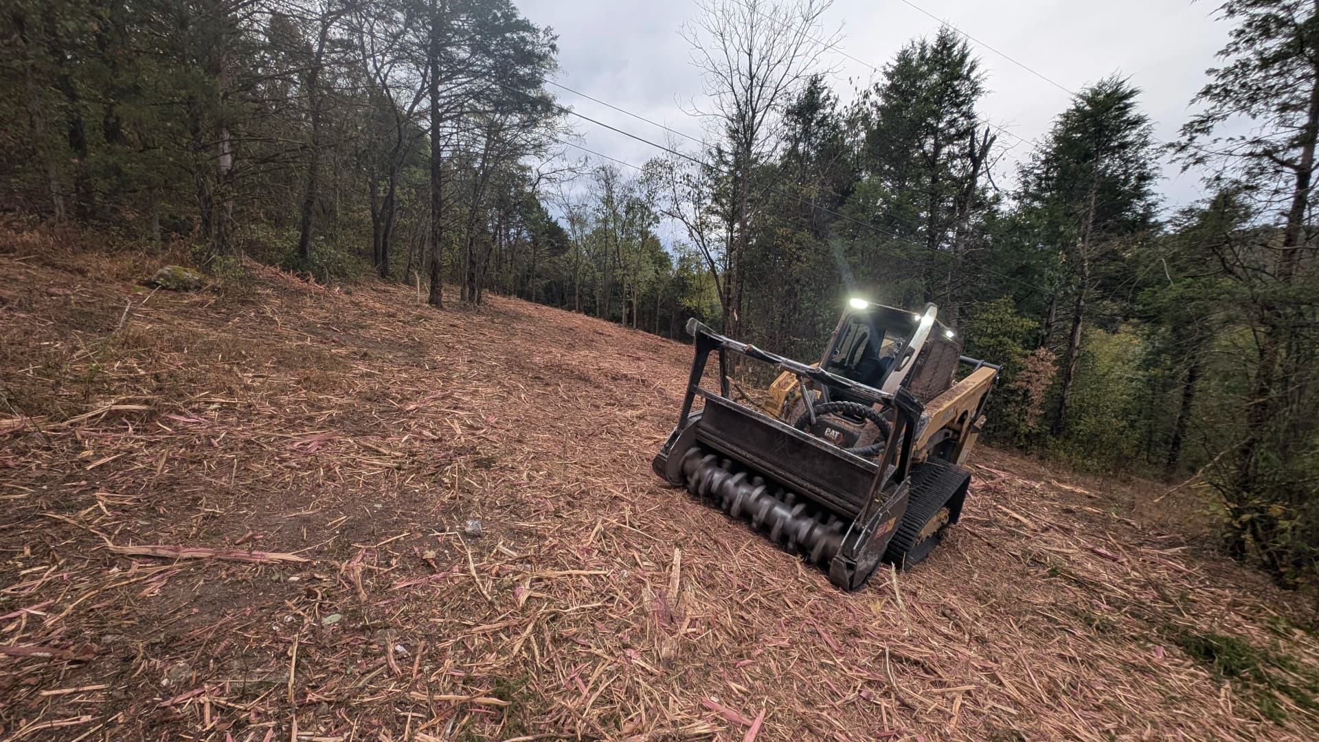 Steep Hillside Forestry Mulching with a Clean Cedar Finish image