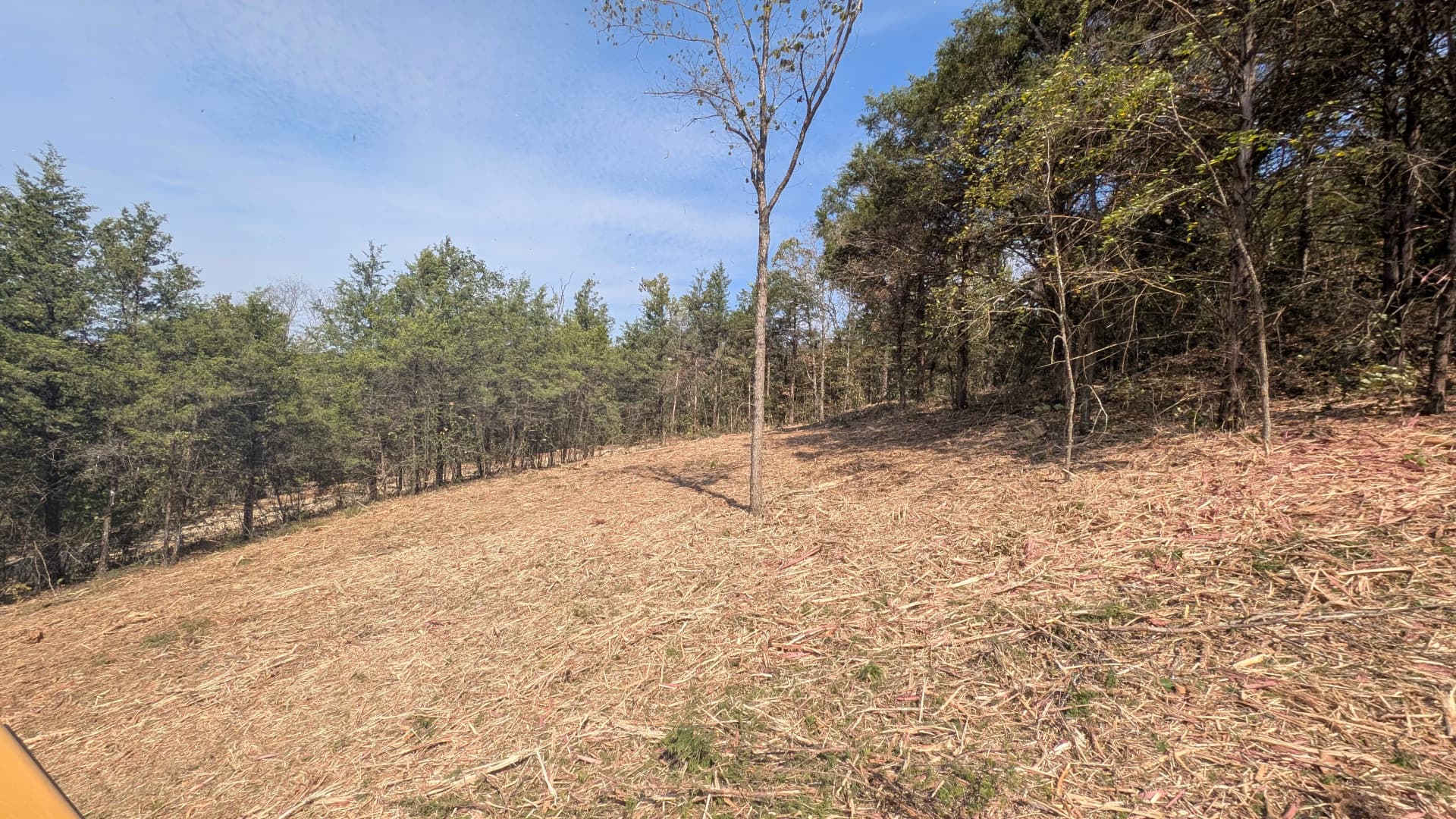 Gallery photos for Forestry Mulching Clears Dense Overgrowth on Hilly Rural Property: Image #1