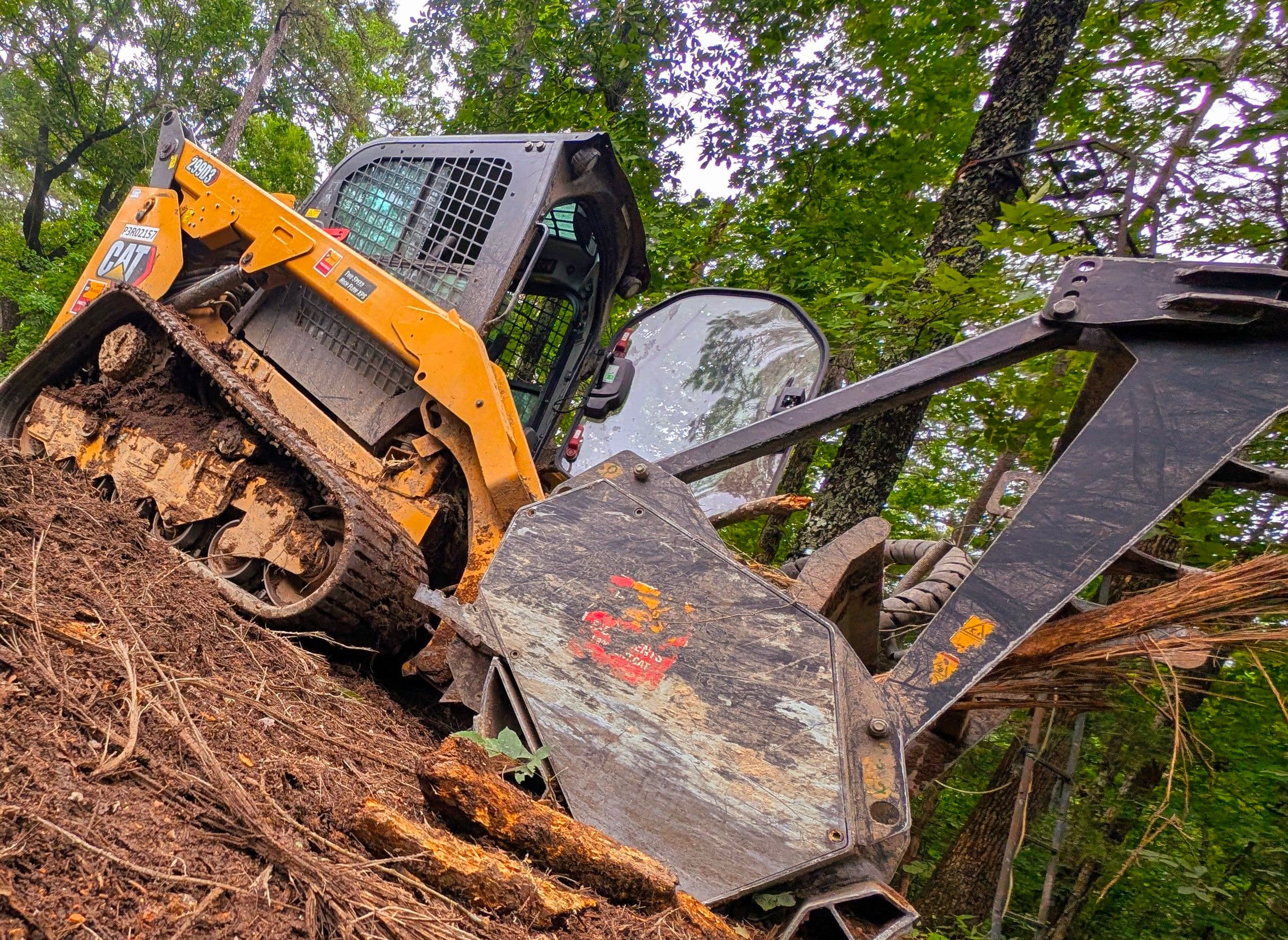 Project Turning Thick Overgrown Cover Into a Hunt-Ready Food Plot image