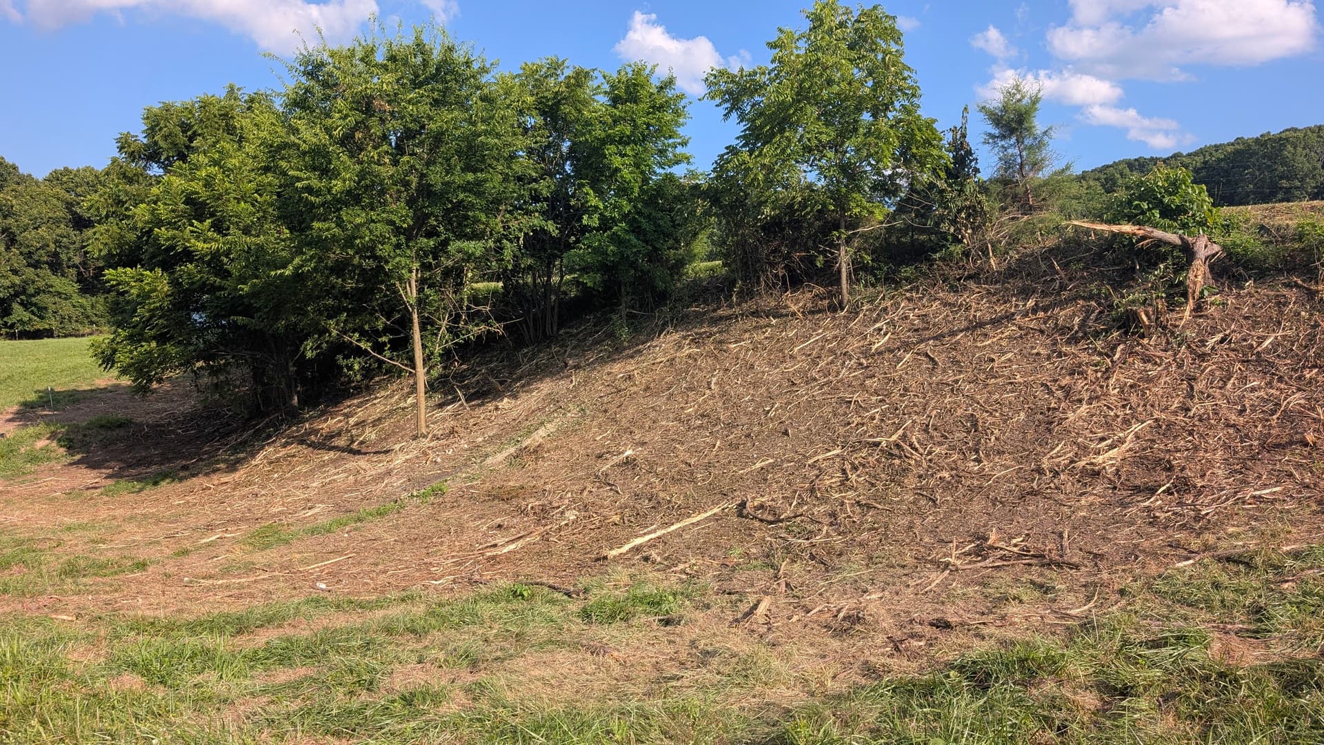 Forestry Mulching Clears Overgrown Pond Banks for Better Water Flow