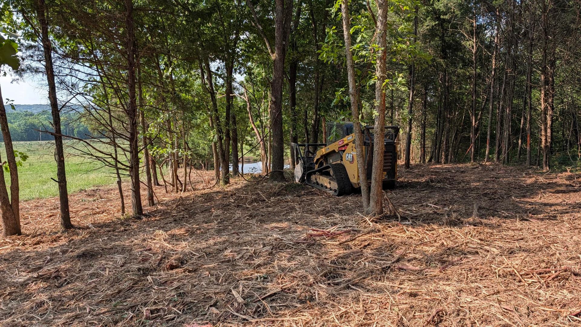1 Acre Forestry Mulching Job in Mansfield Opens Up Overgrown Property image