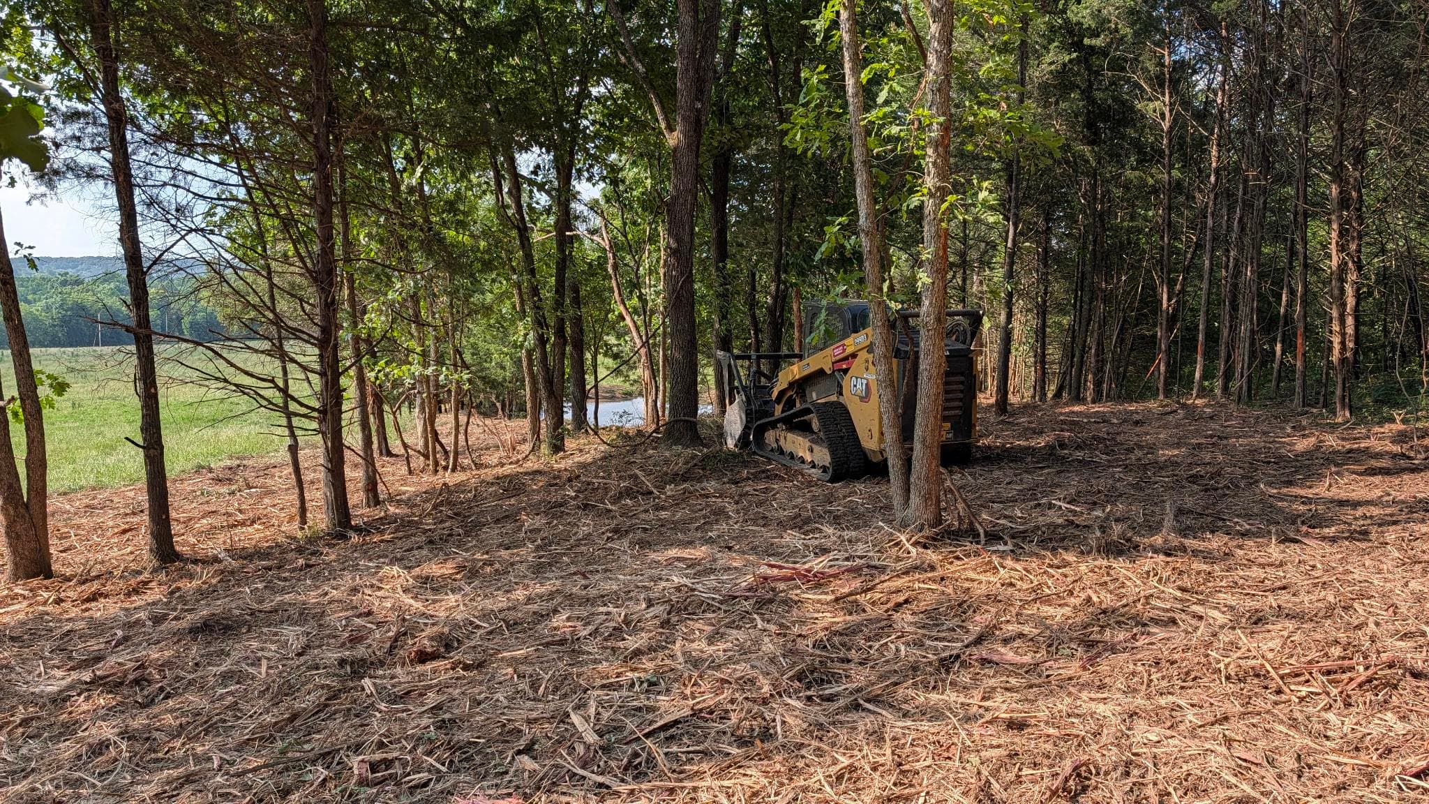 Project 1 Acre Forestry Mulching Job in Mansfield Opens Up Overgrown Property image