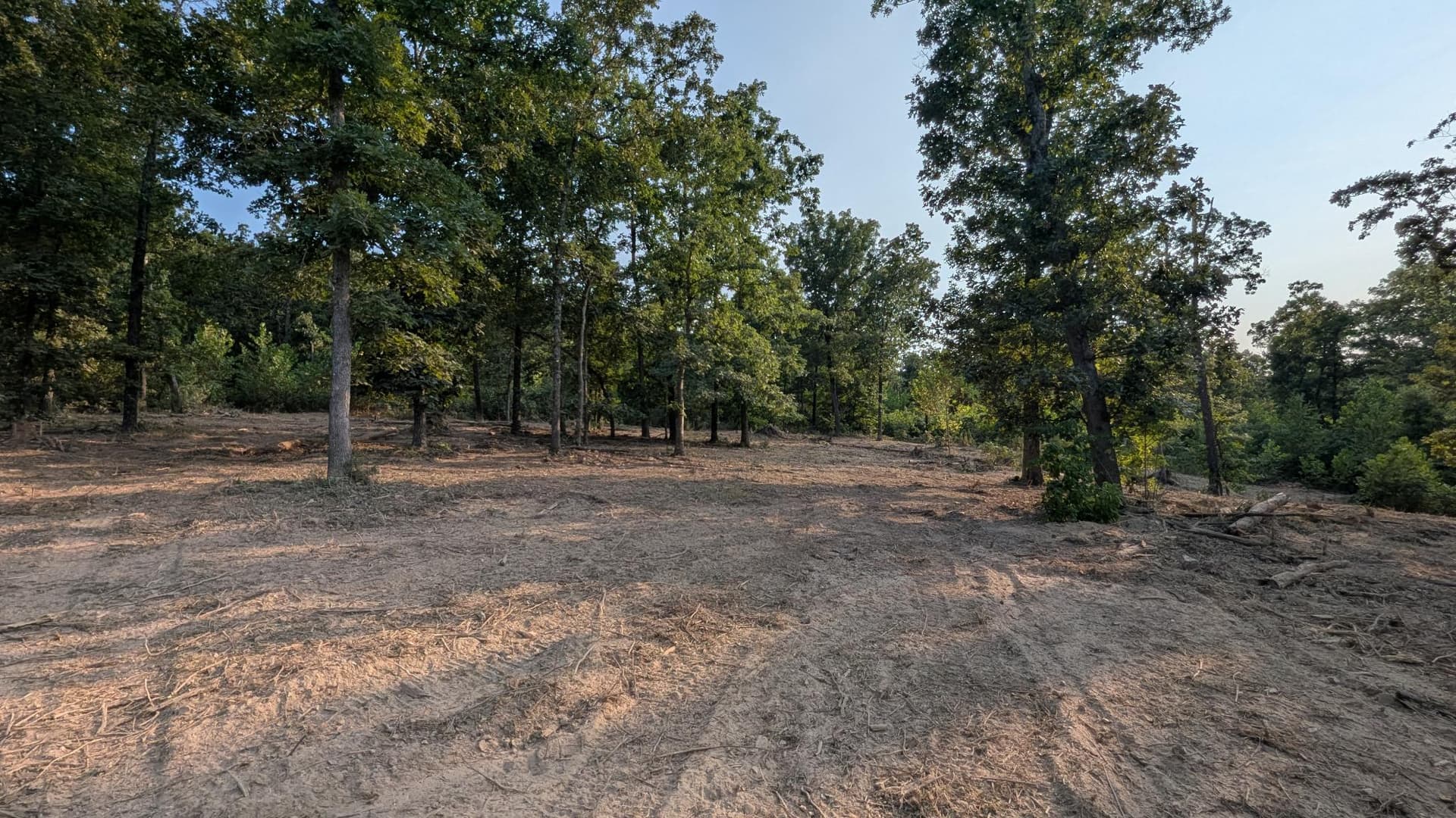 Gallery photos for 20 Acres of Forestry Mulching Progress in Brixey: Image #1