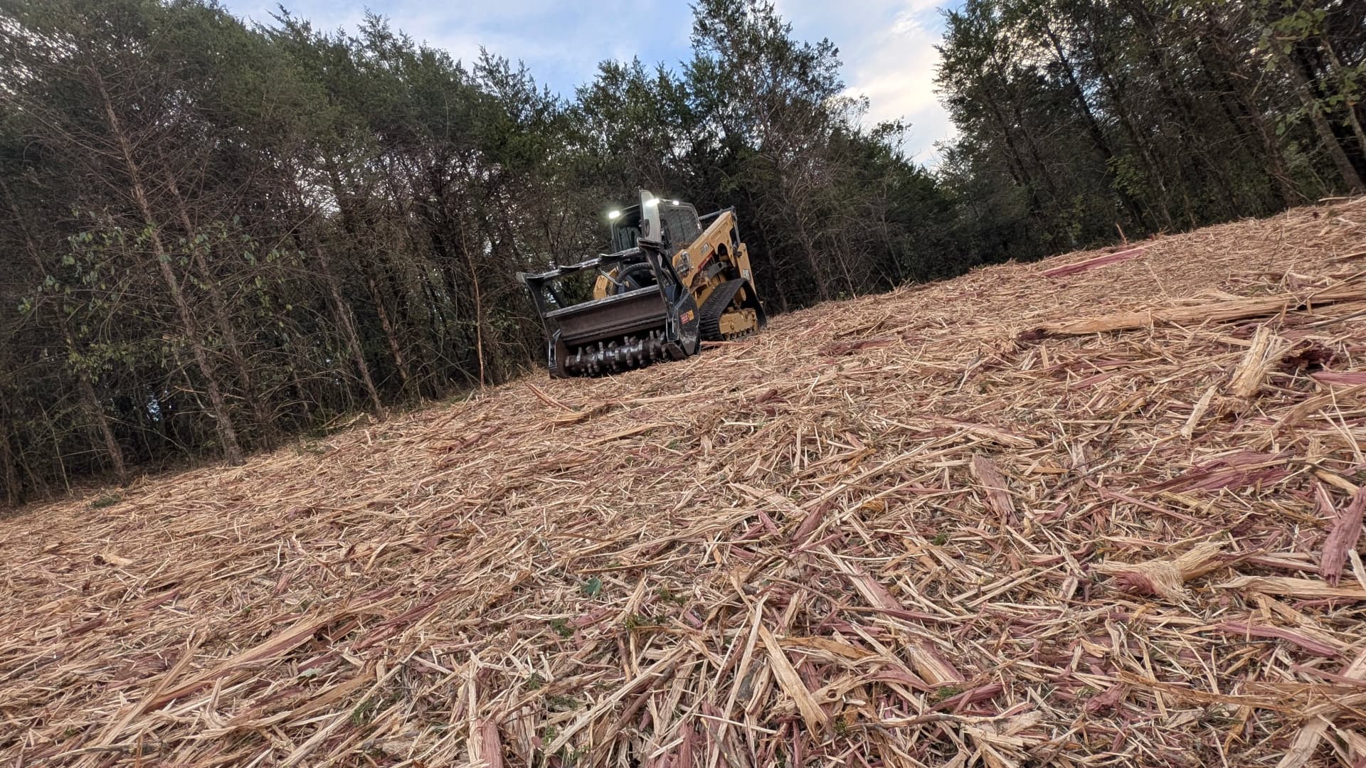Gallery photos for Forestry Mulching in Progress for Ken Evans: Image #2