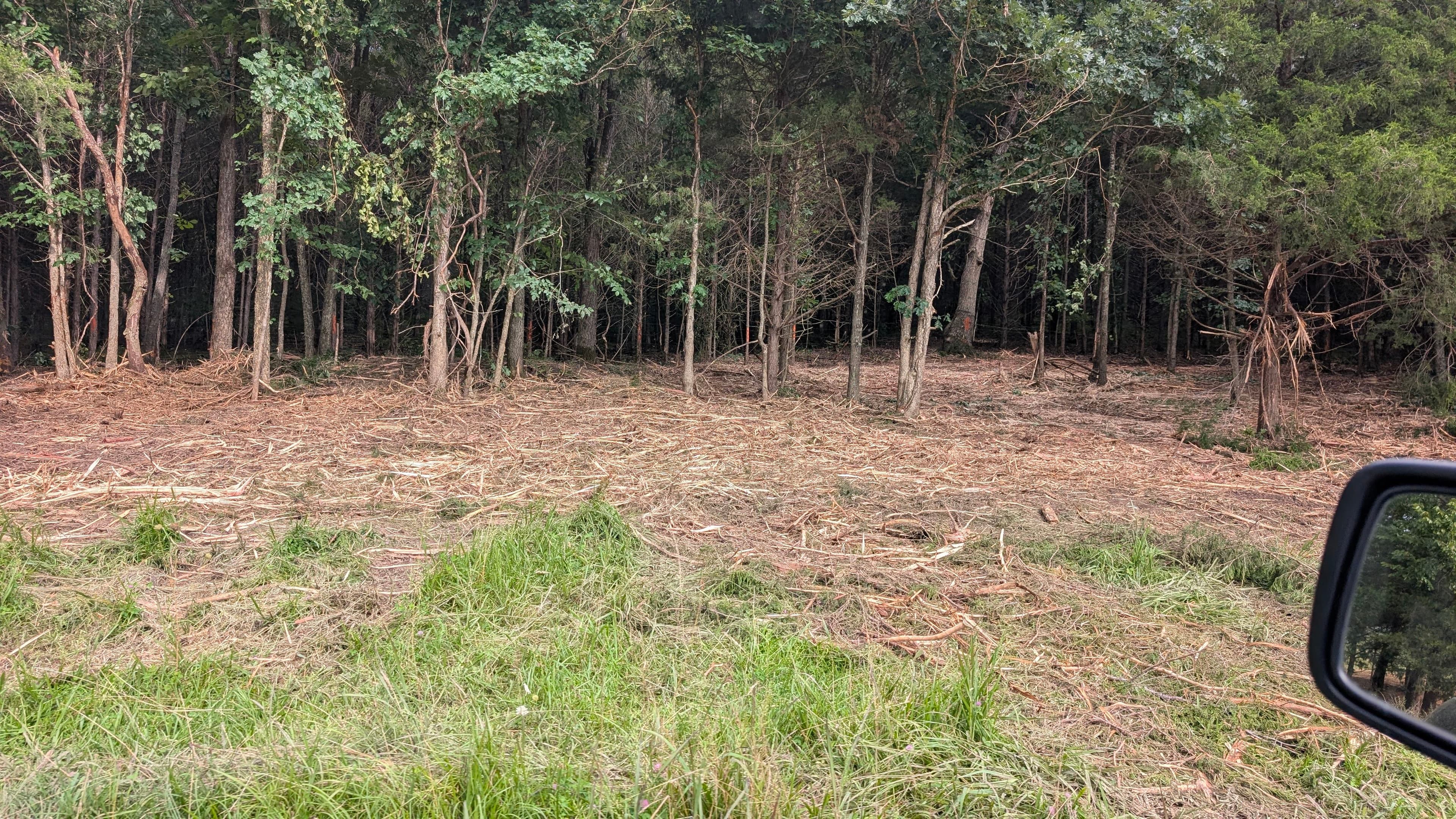 Project Forestry Mulching That Opens Up Overgrown Land Without the Mess image