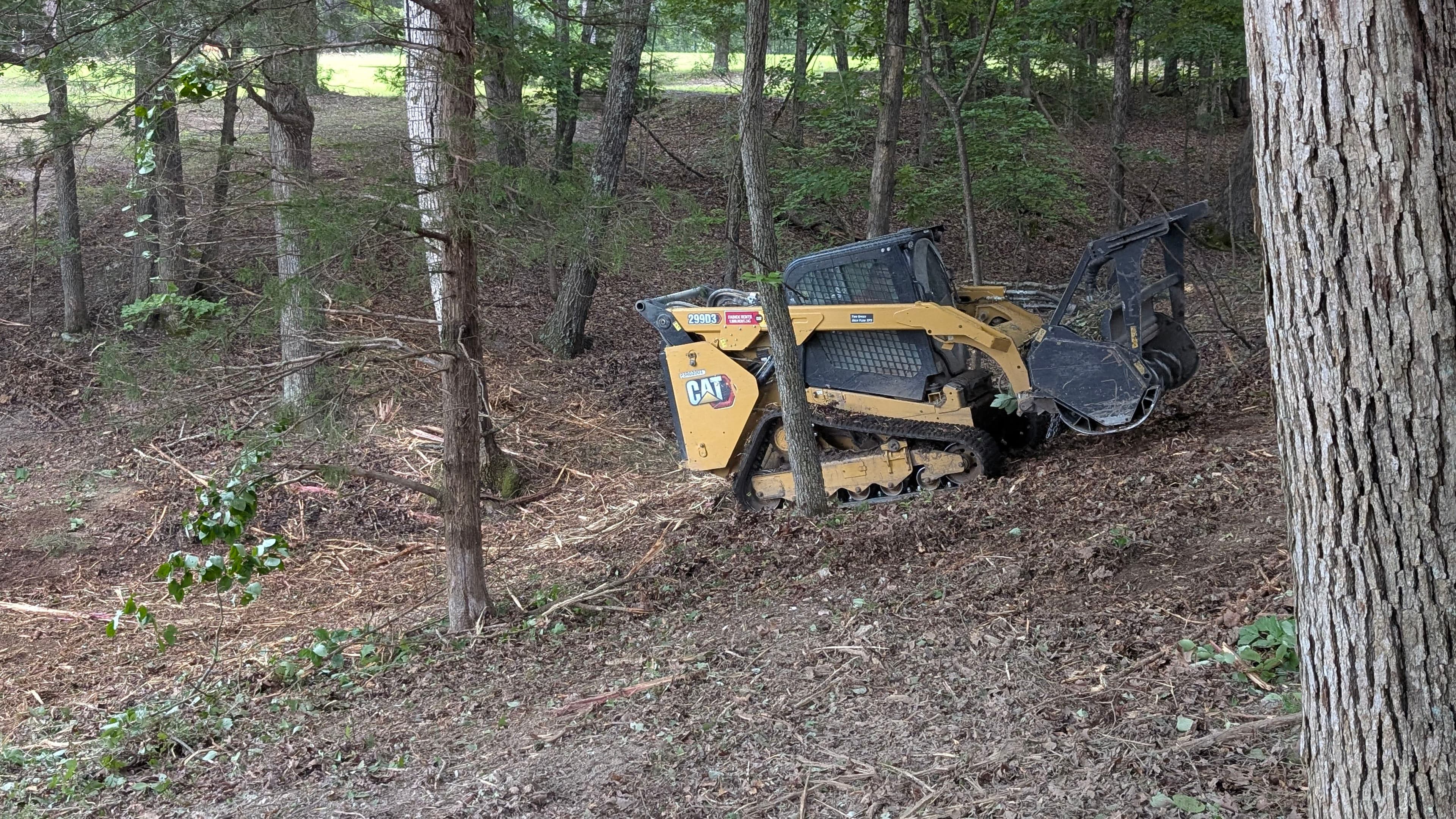 Project Pond Bank Brush Clearing Done Right with Forestry Mulching image