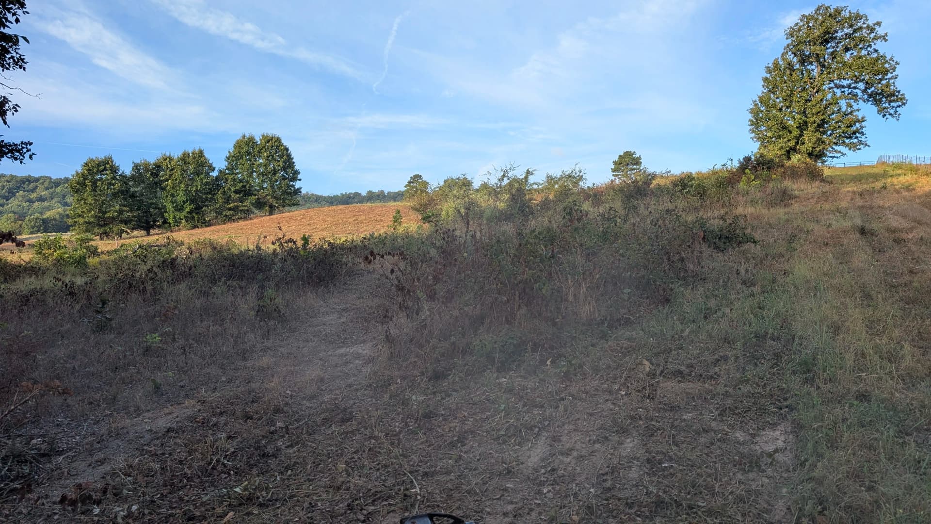 Gallery photos for Thick Brush Cleared Clean with the CAT 275: Image #1
