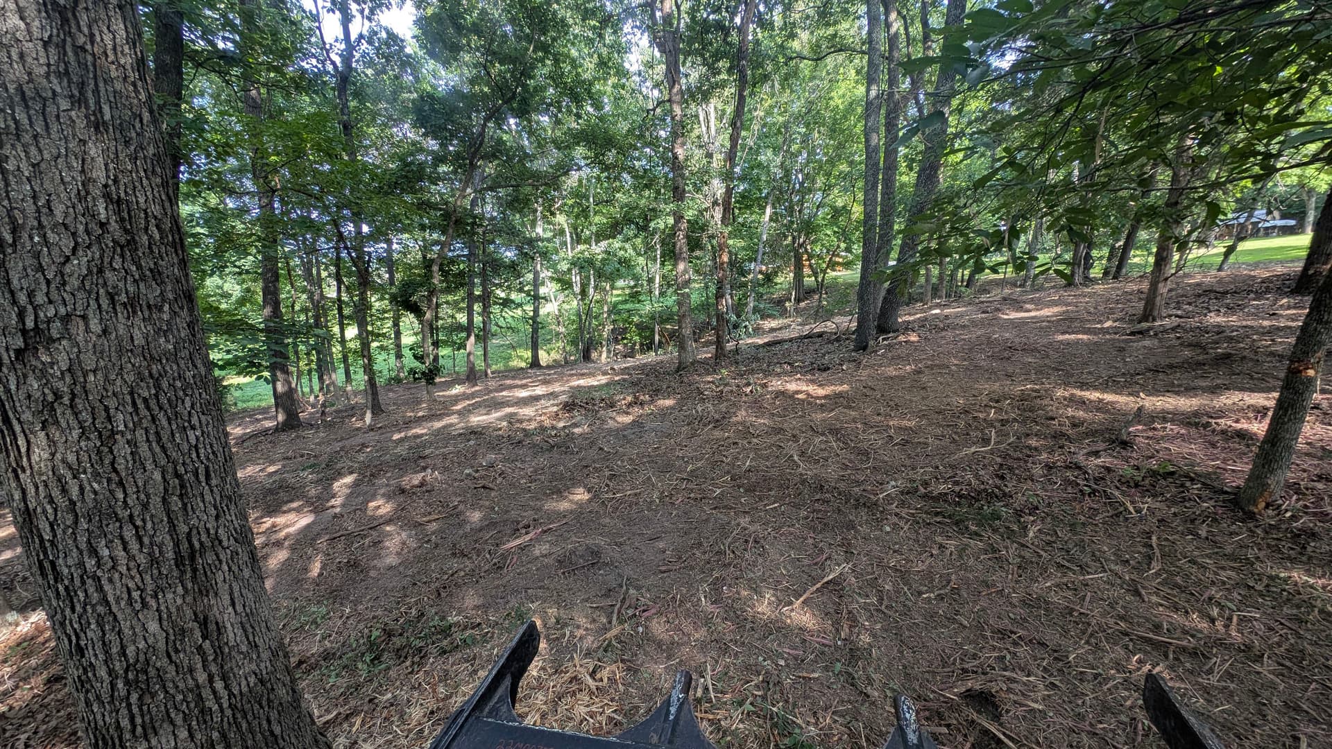 Gallery photos for Forestry Mulching Cleans Up Overgrown Property in Squires Missouri: Image #2