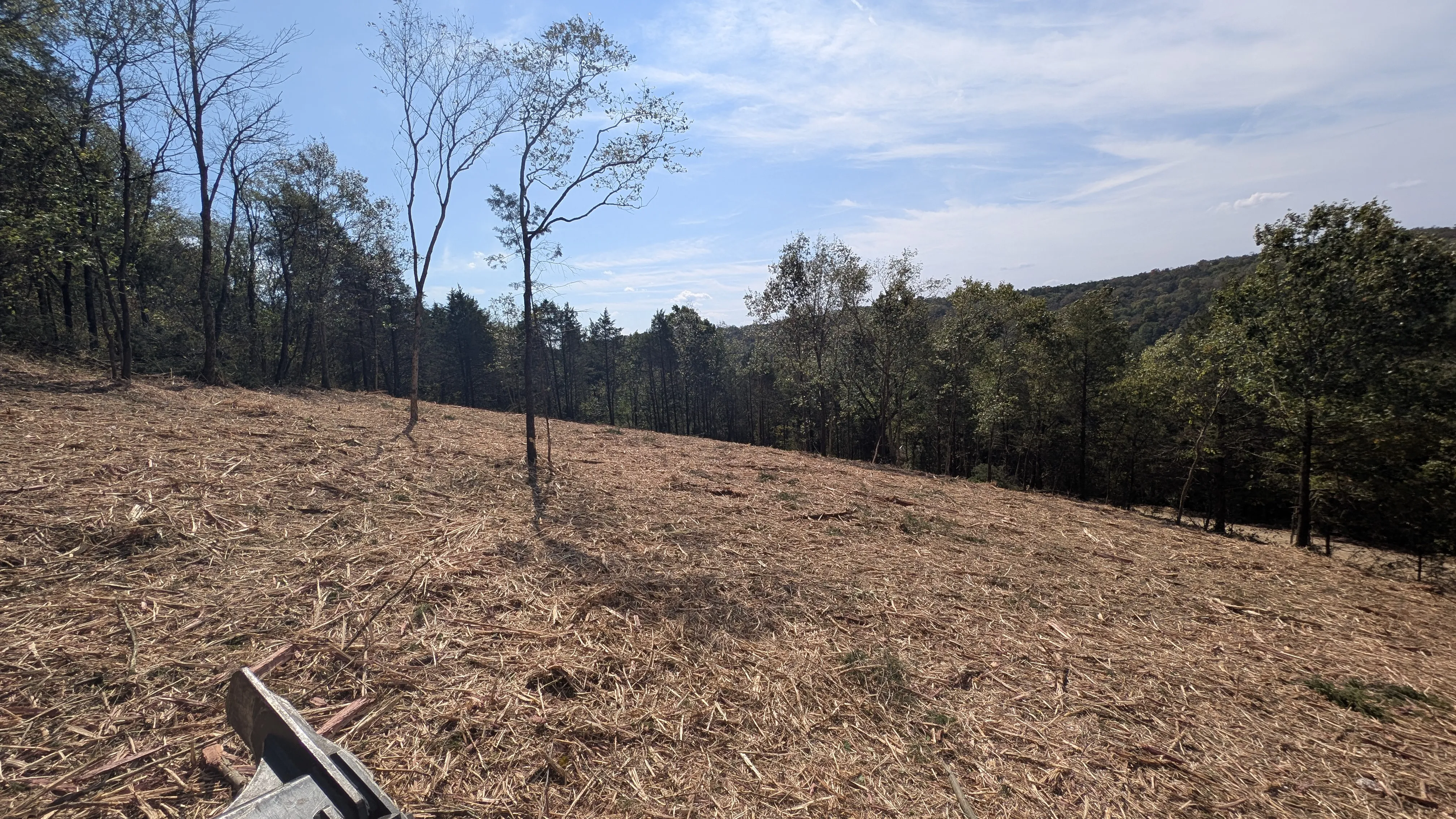 Gallery photos for Forestry Mulching Clears Dense Overgrowth on Hilly Rural Property: Image #3