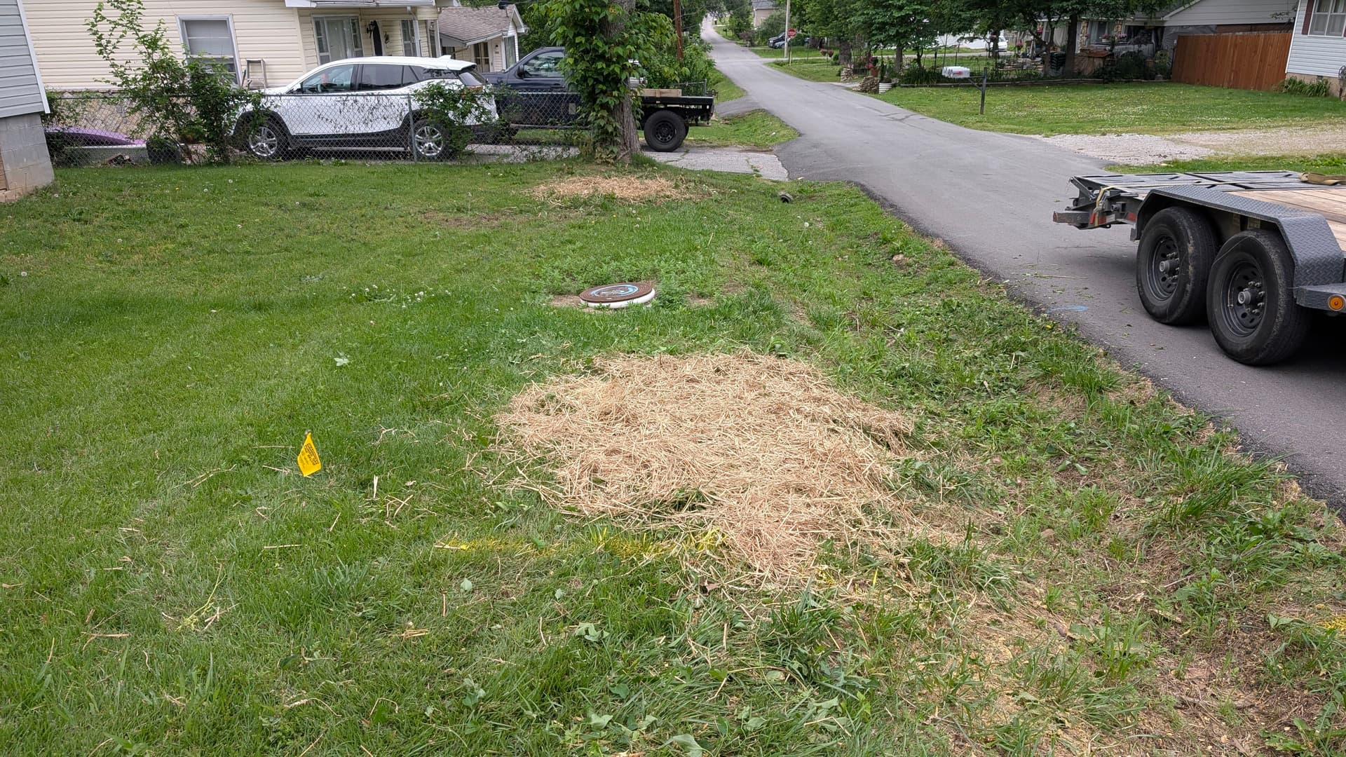 Stump Grinding Done Right in Ava MO image