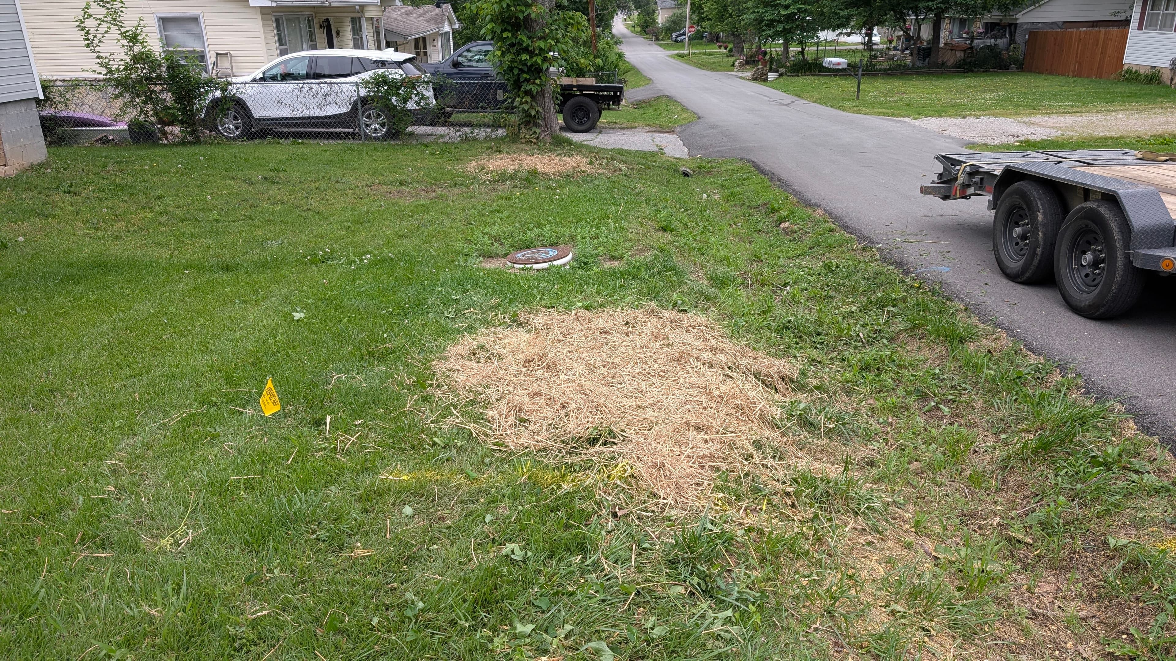 Project Stump Grinding Done Right in Ava MO image