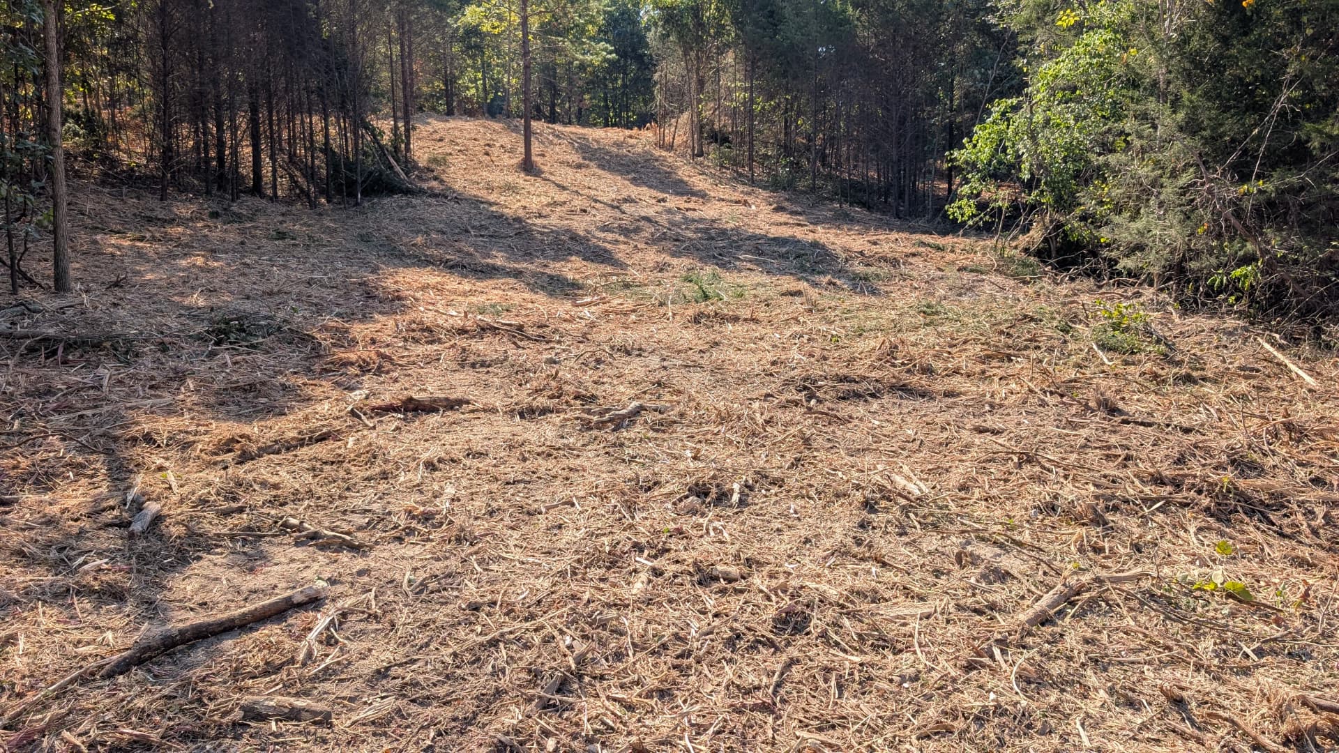 Forestry Mulching Opens a Path Between Pastures image