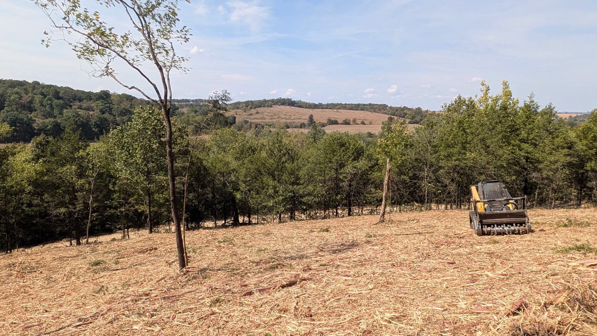 Gallery photos for Forestry Mulching Clears Dense Overgrowth on Hilly Rural Property: Image #2