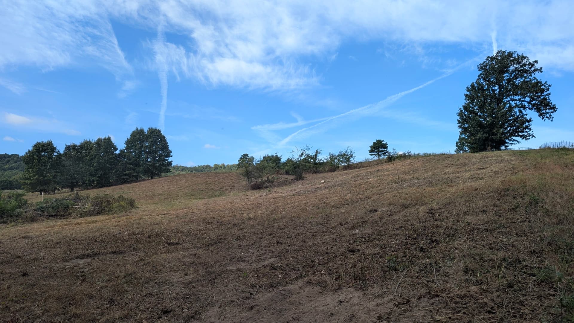 Gallery photos for Thick Brush Cleared Clean with the CAT 275: Image #2