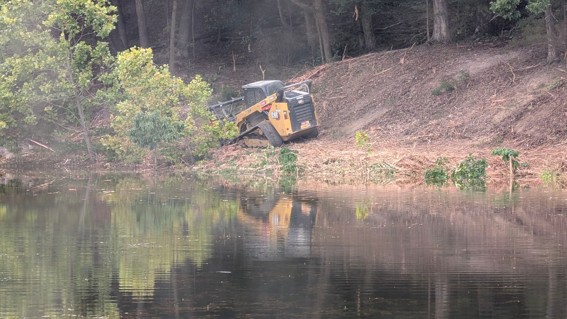 Gallery photos for Pond Bank Brush Clearing Done Right with Forestry Mulching: Image #1