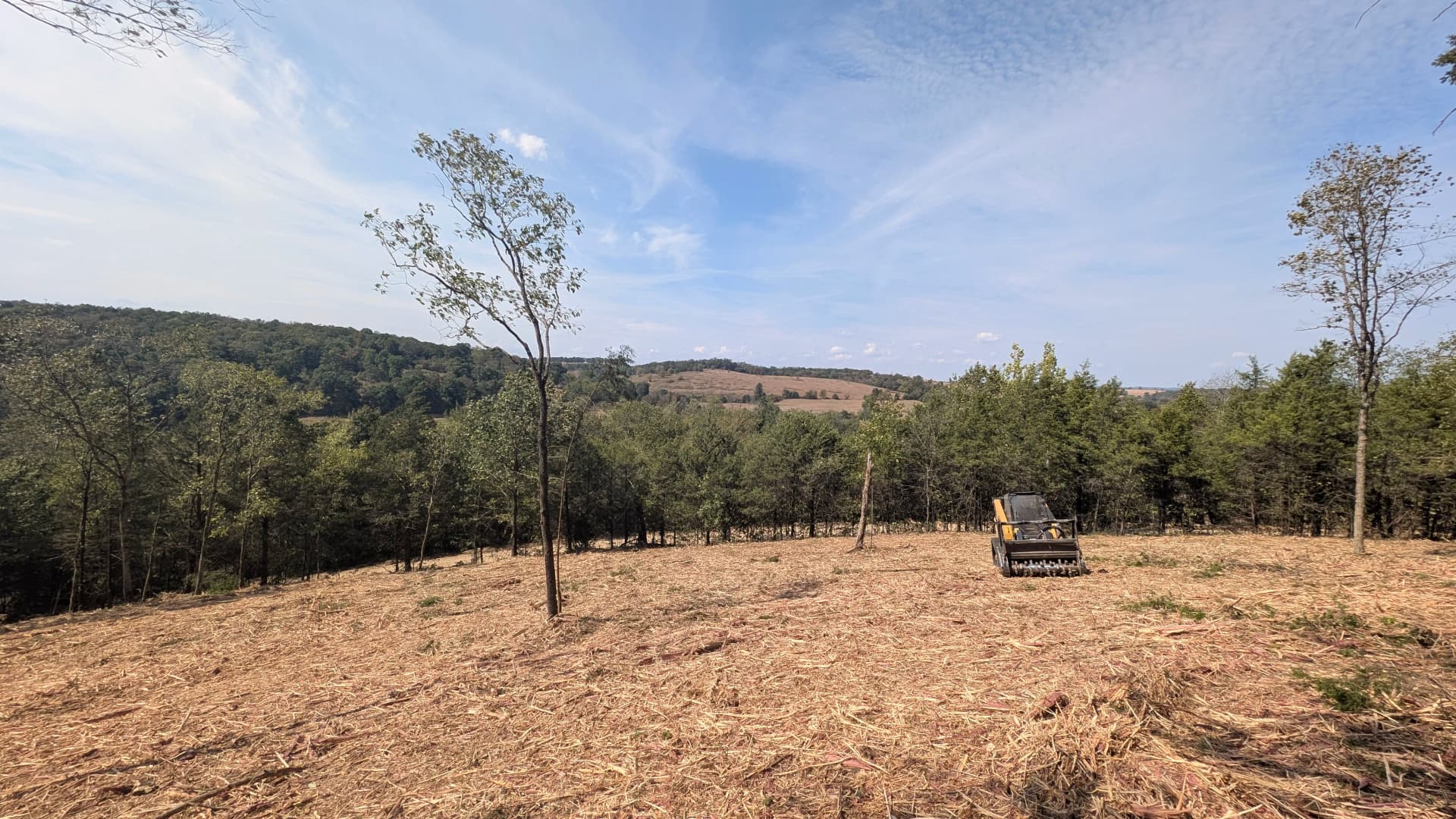 Forestry Mulching Clears Dense Overgrowth on Hilly Rural Property image