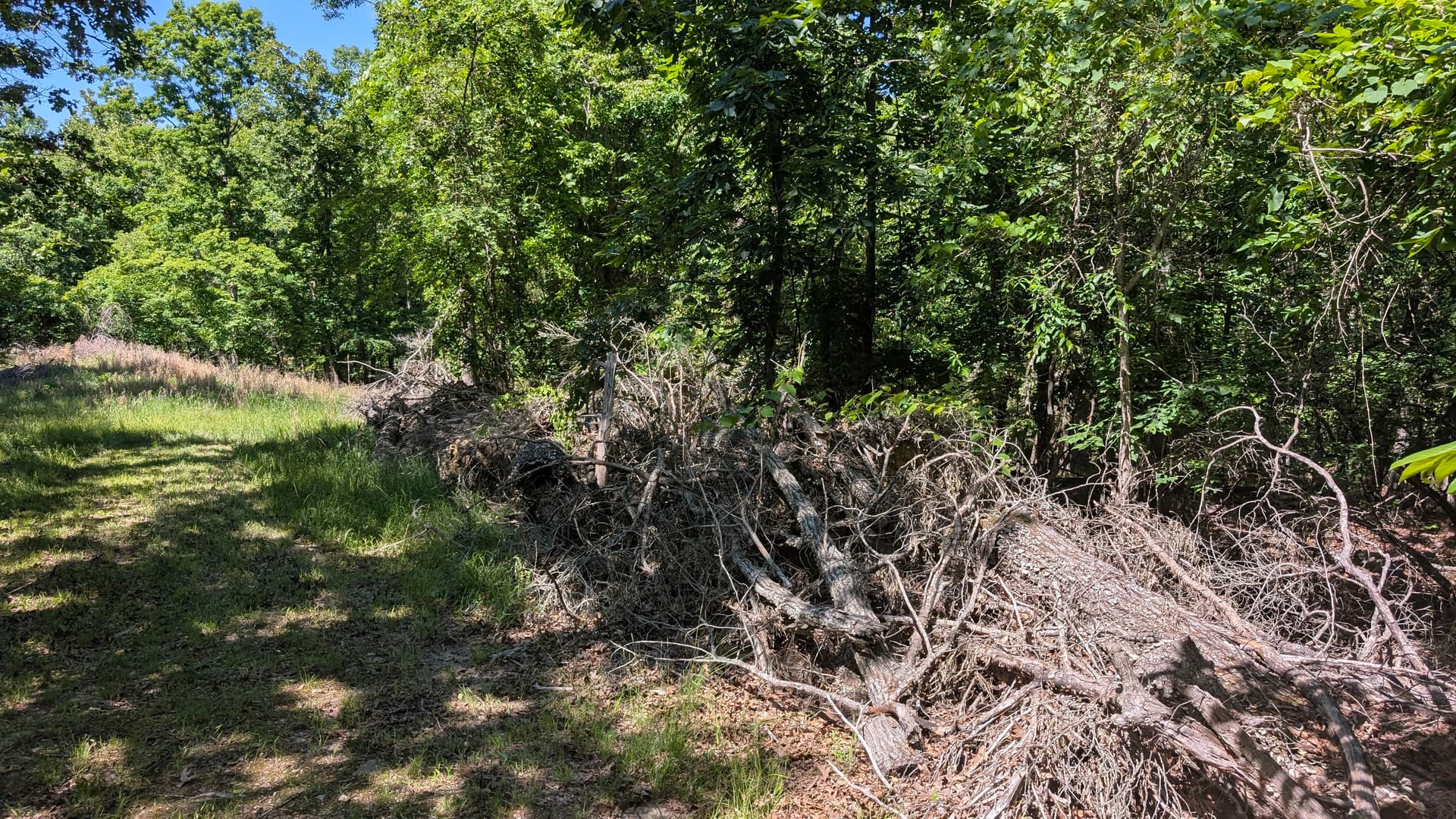 Gallery photos for Forestry Mulching Handles a Bulky Brush Pile Near Bull Shoals: Image #1