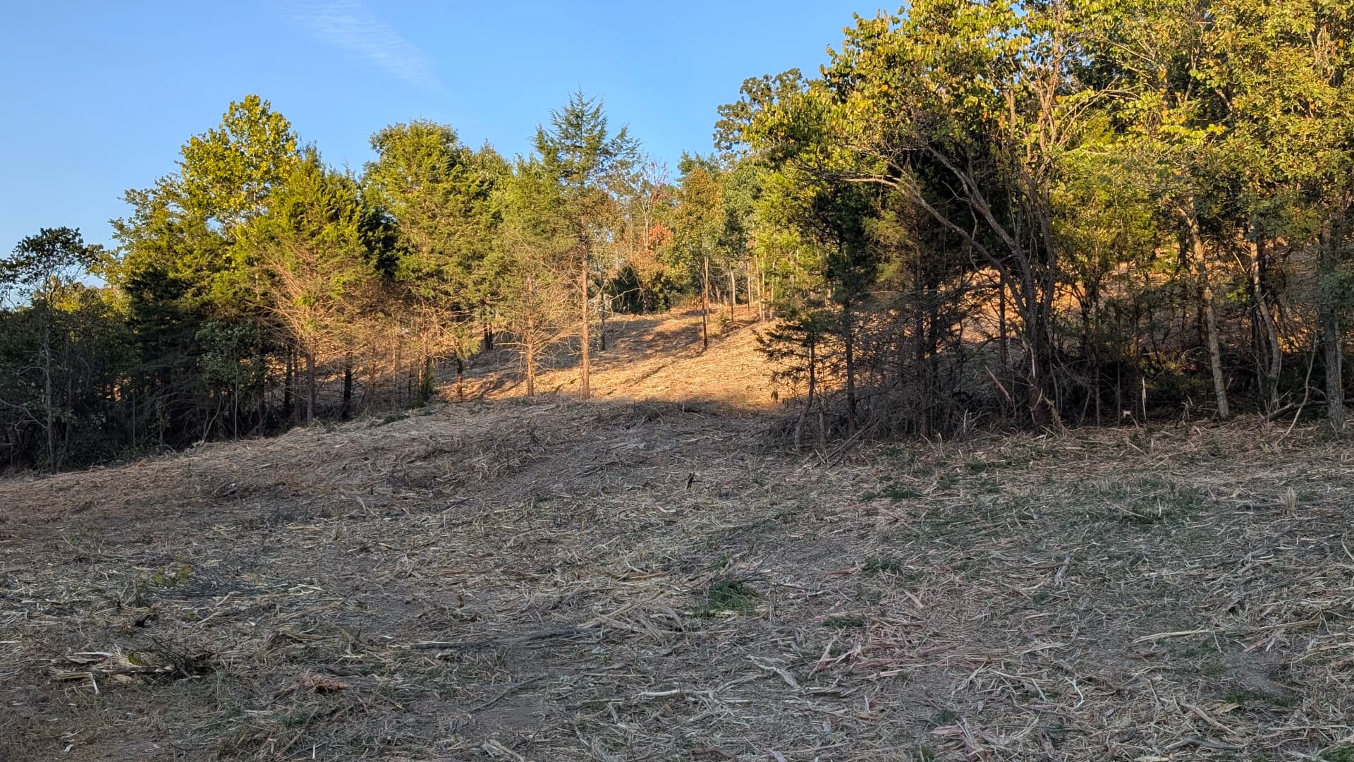 Gallery photos for Hillside Forestry Mulching Nearly Complete on This Big One: Image #3