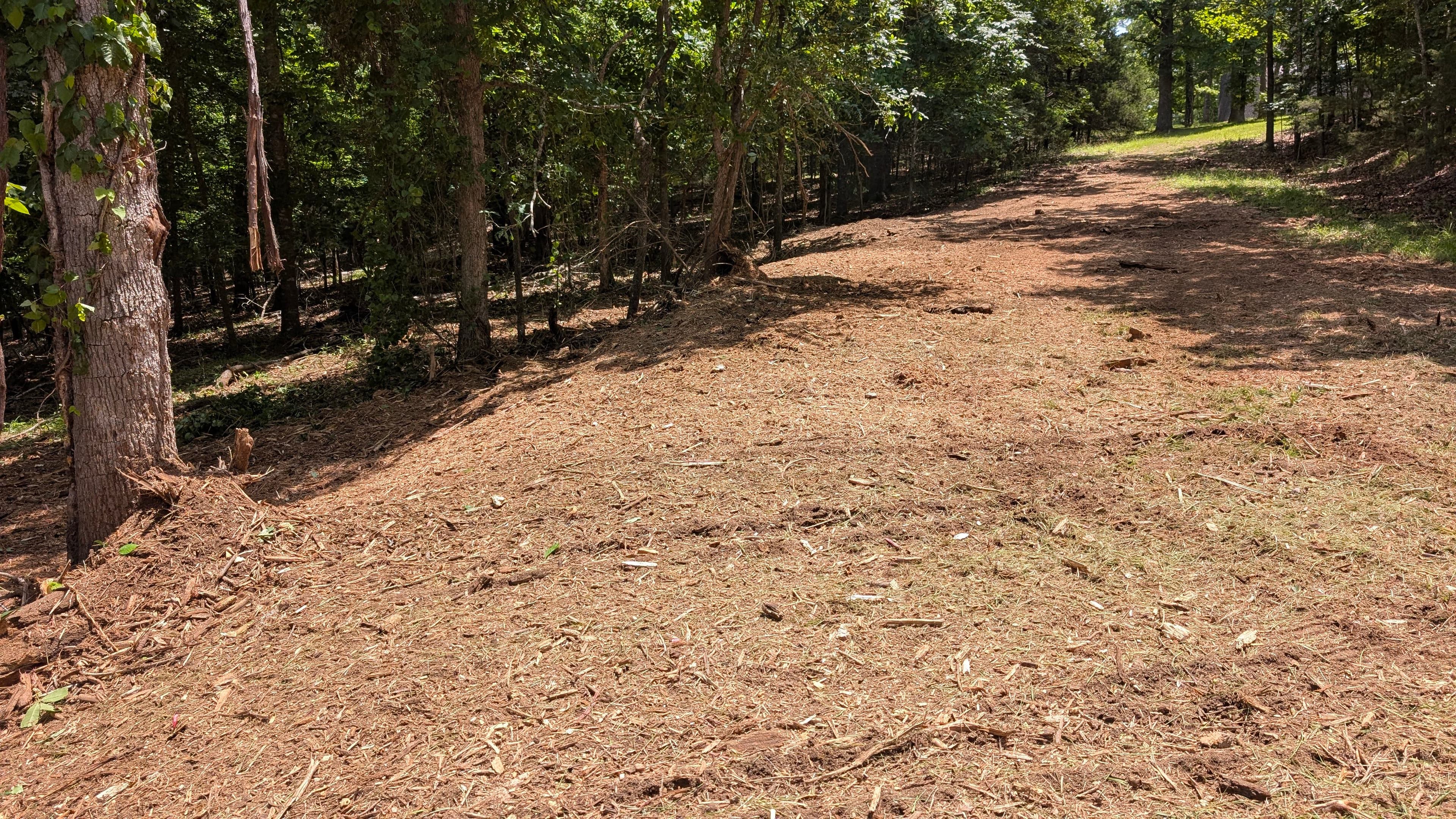 Project Forestry Mulching Clears Thick Brush in Ava Missouri image