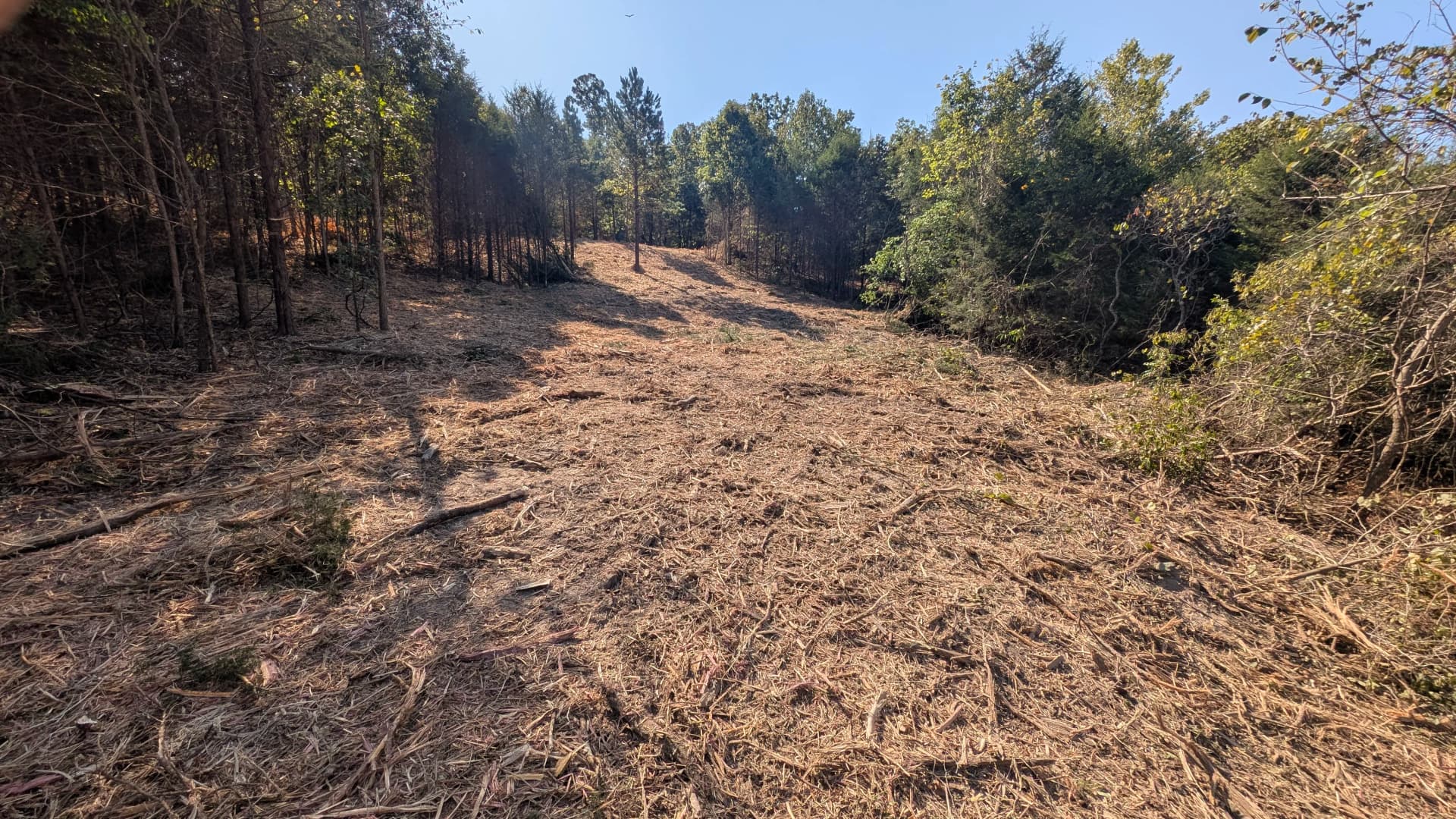 Gallery photos for Forestry Mulching Opens a Path Between Pastures: Image #2