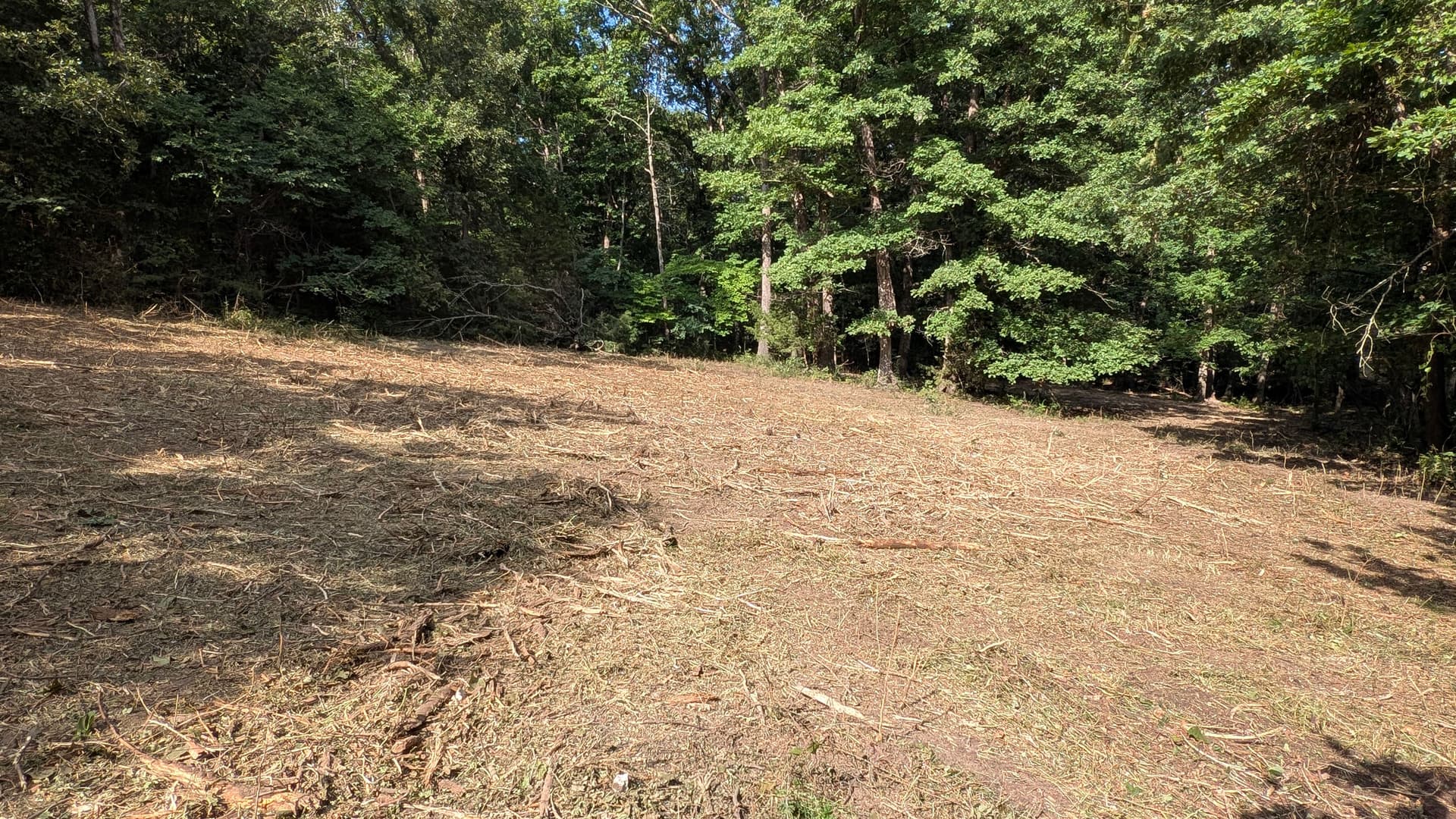 Forestry Mulching Clears Overgrown Land in Rockbridge Missouri