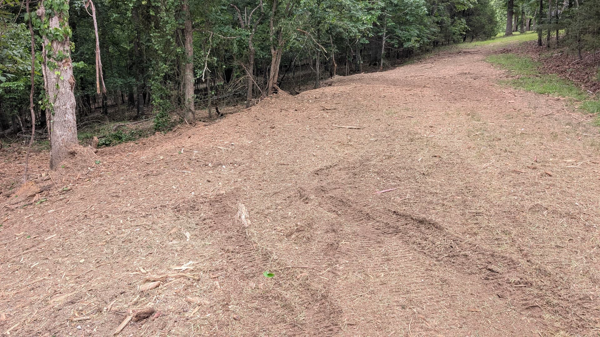 Forestry Mulching Clears Thick Brush in Ava Missouri