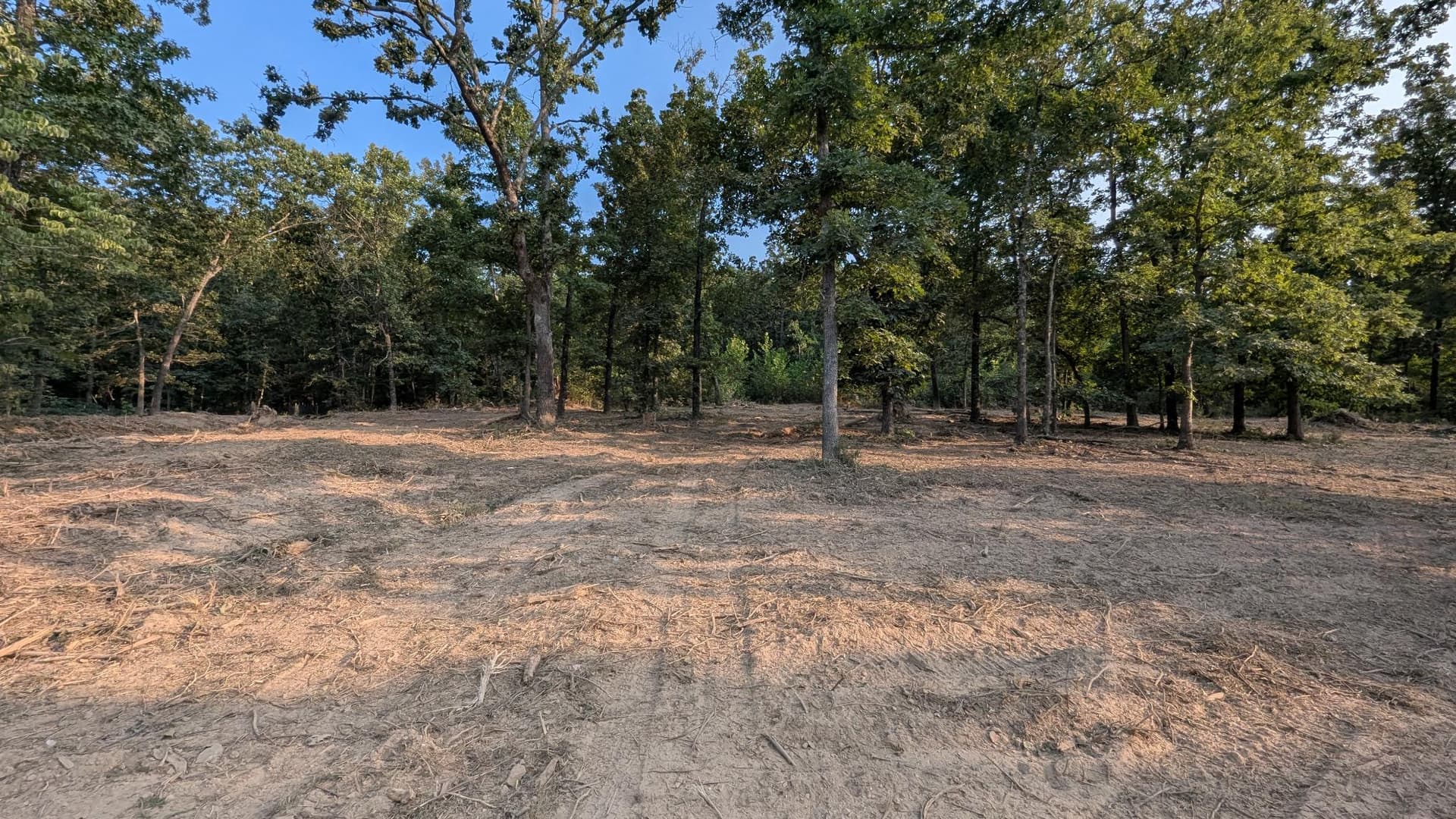 20 Acres of Forestry Mulching Progress in Brixey image