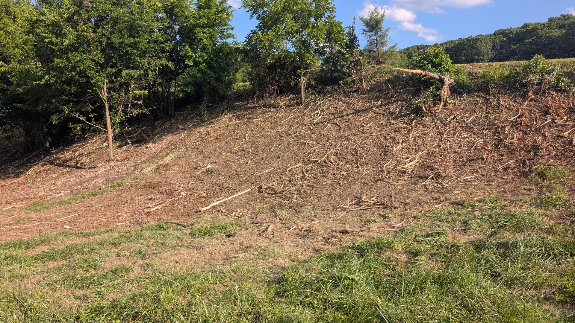 Forestry Mulching Clears Overgrown Pond Banks for Better Water Flow