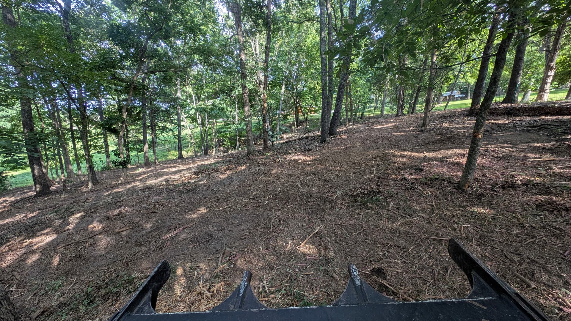 Gallery photos for Forestry Mulching Cleans Up Overgrown Property in Squires Missouri: Image #1