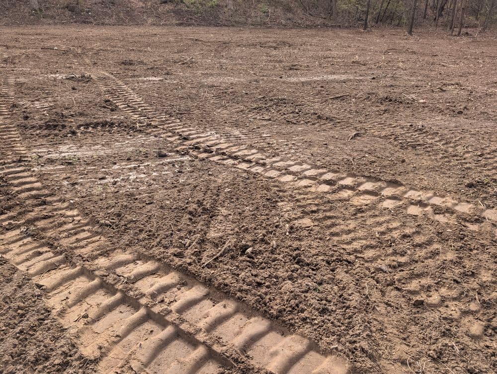 Tractor tire tracks on freshly plowed dirt in a cleared woodland area.