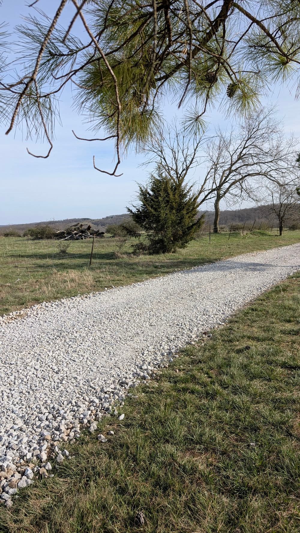 Gravel road winding through a grassy landscape with trees and a clear sky.