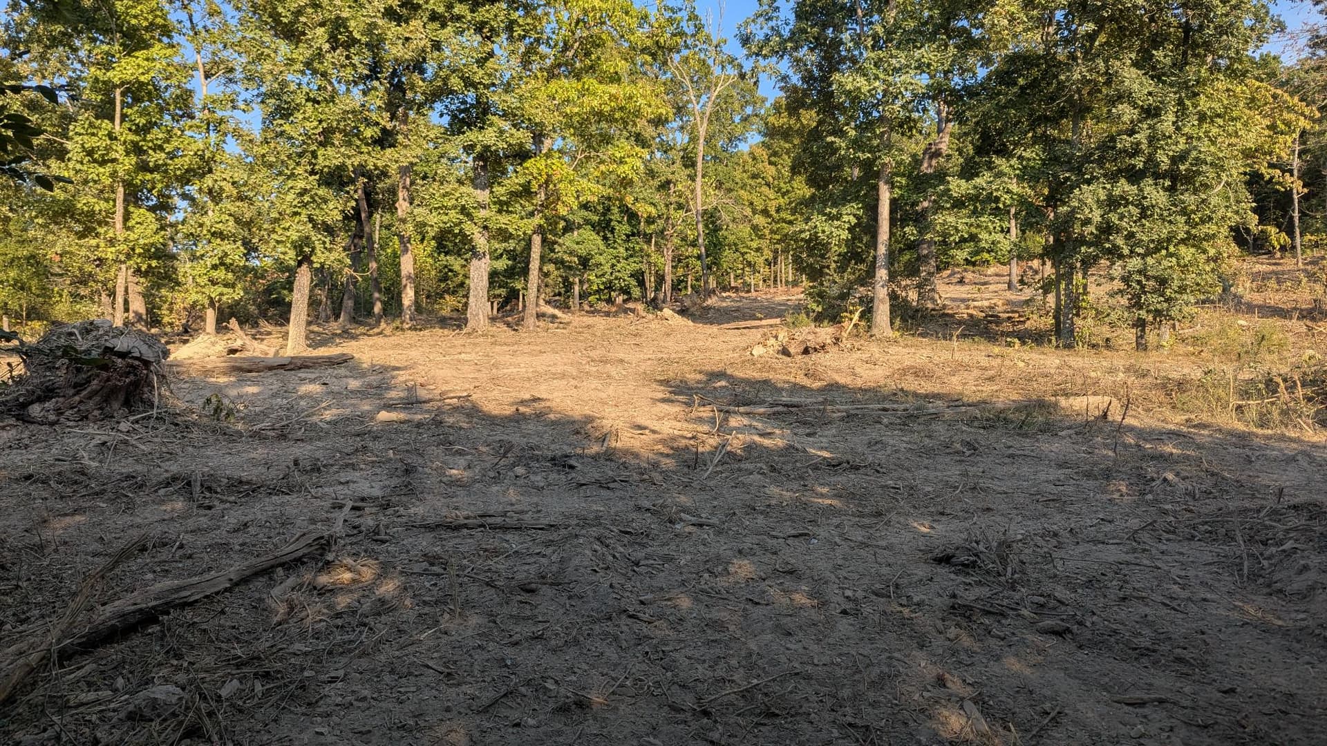 Gallery photos for 2 Acres Cleared and Reclaimed with Forestry Mulching: Image #4