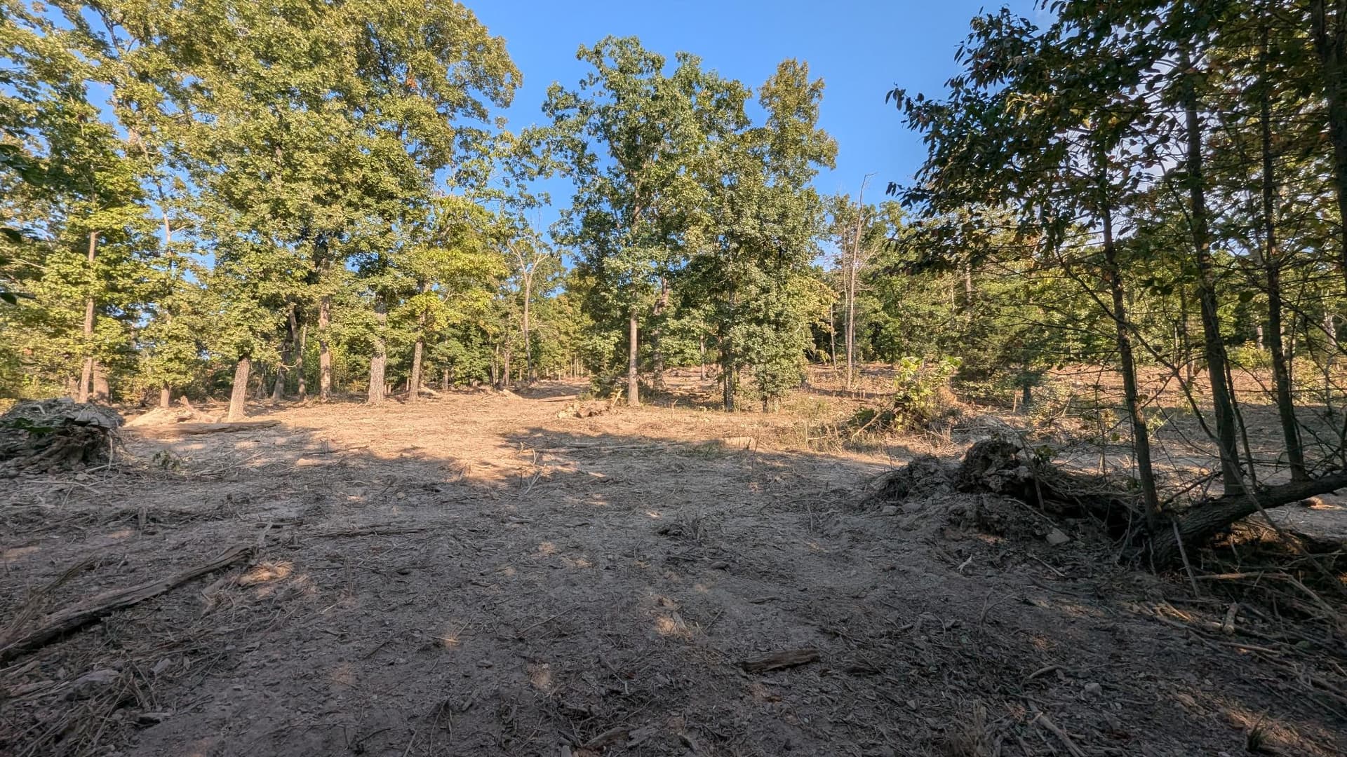 Gallery photos for 2 Acres Cleared and Reclaimed with Forestry Mulching: Image #5
