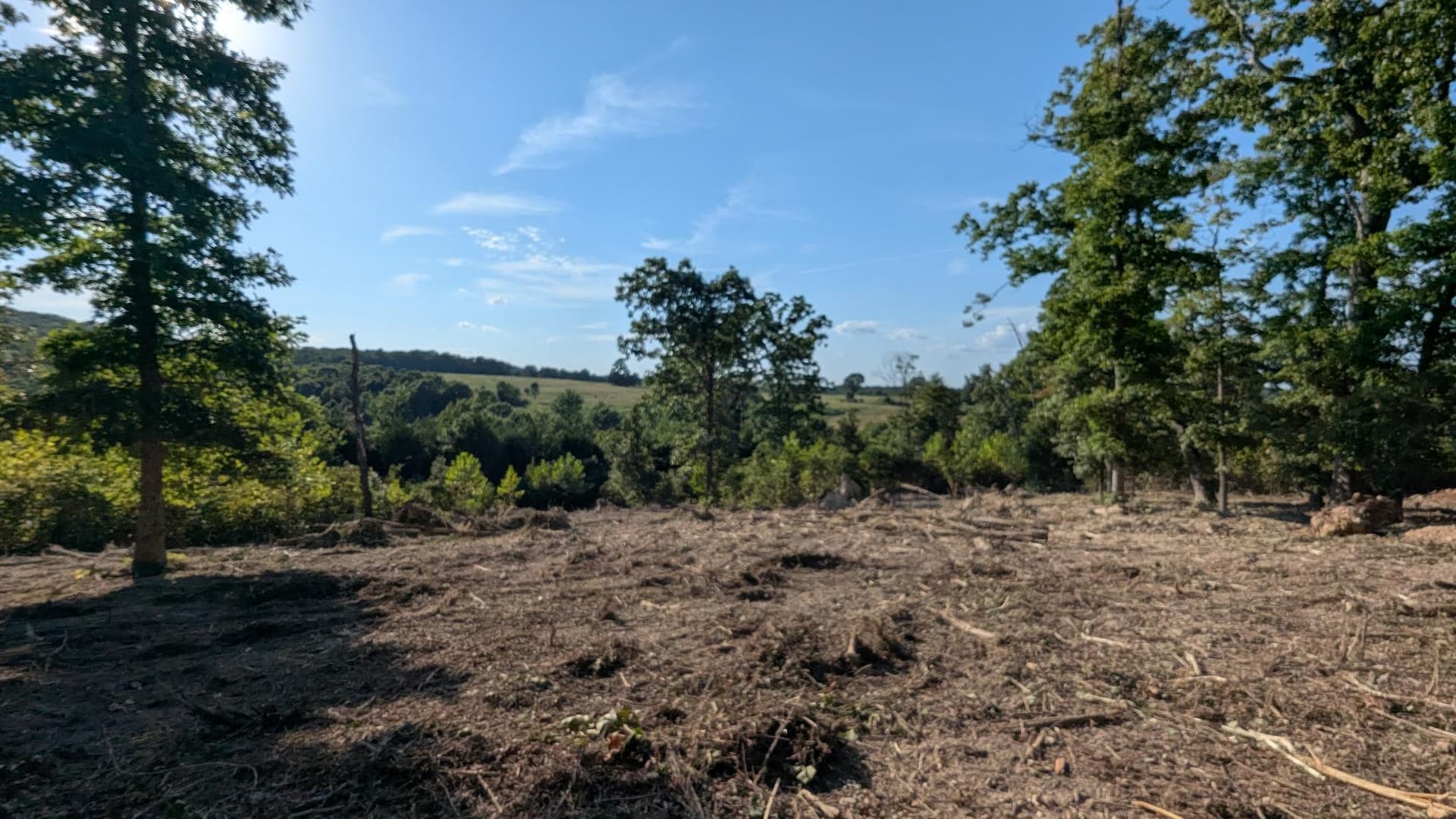 Gallery photos for Hilltop Forestry Mulching Near the National Forest: Image #2