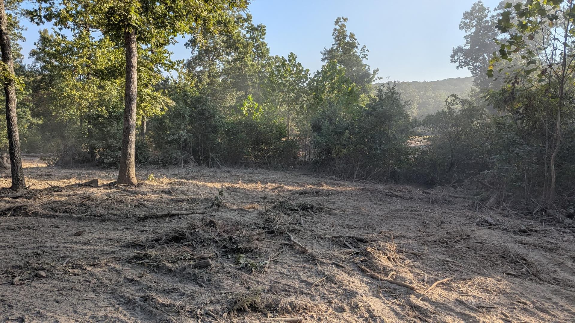 Gallery photos for Large Acreage Land Clearing with Forestry Mulching and Grapple Work: Image #1