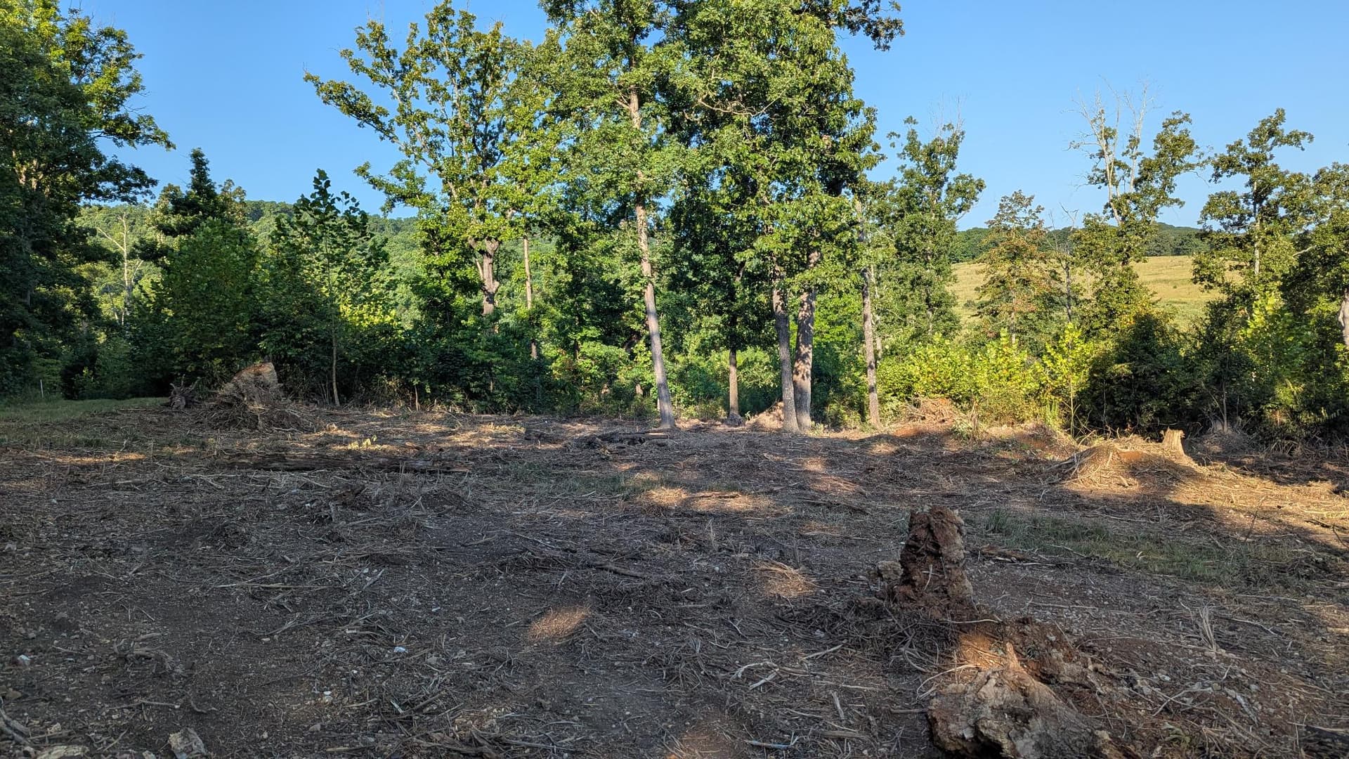 Gallery photos for Hilltop Forestry Mulching Near the National Forest: Image #5