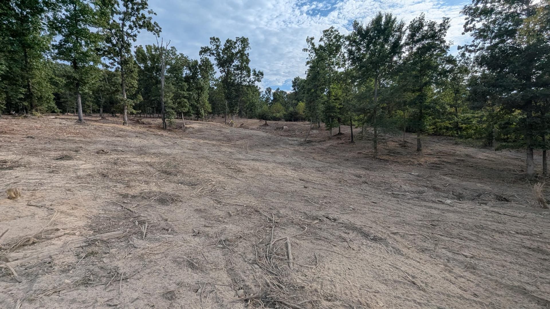 Gallery photos for Forestry Mulching and Grapple Work Gets This Land Ready to Plant: Image #2