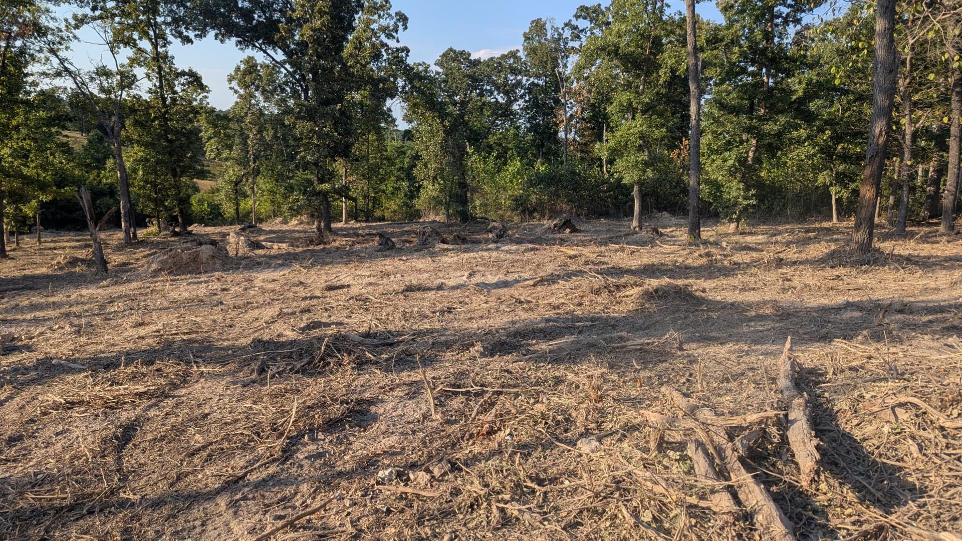 Gallery photos for 2 Acres Cleared and Reclaimed with Forestry Mulching: Image #3