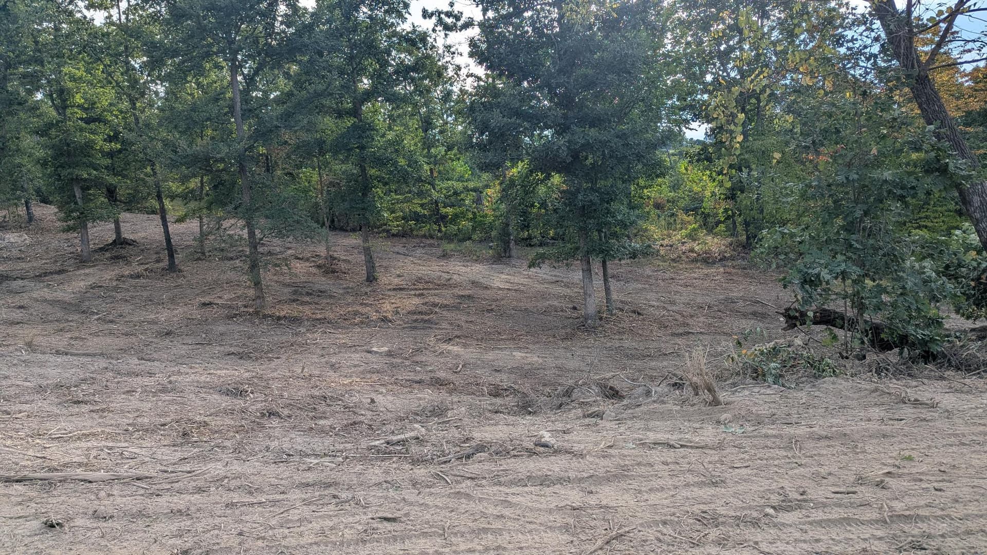 Gallery photos for Forestry Mulching and Grapple Work Gets This Land Ready to Plant: Image #5