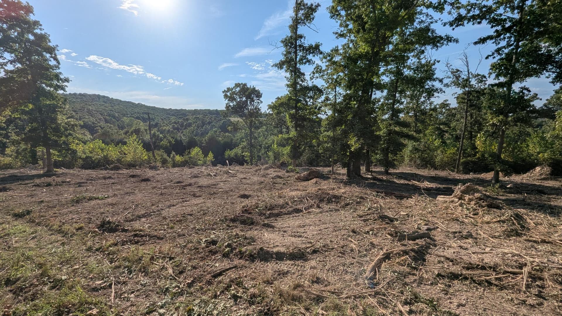 Gallery photos for Hilltop Forestry Mulching Near the National Forest: Image #1