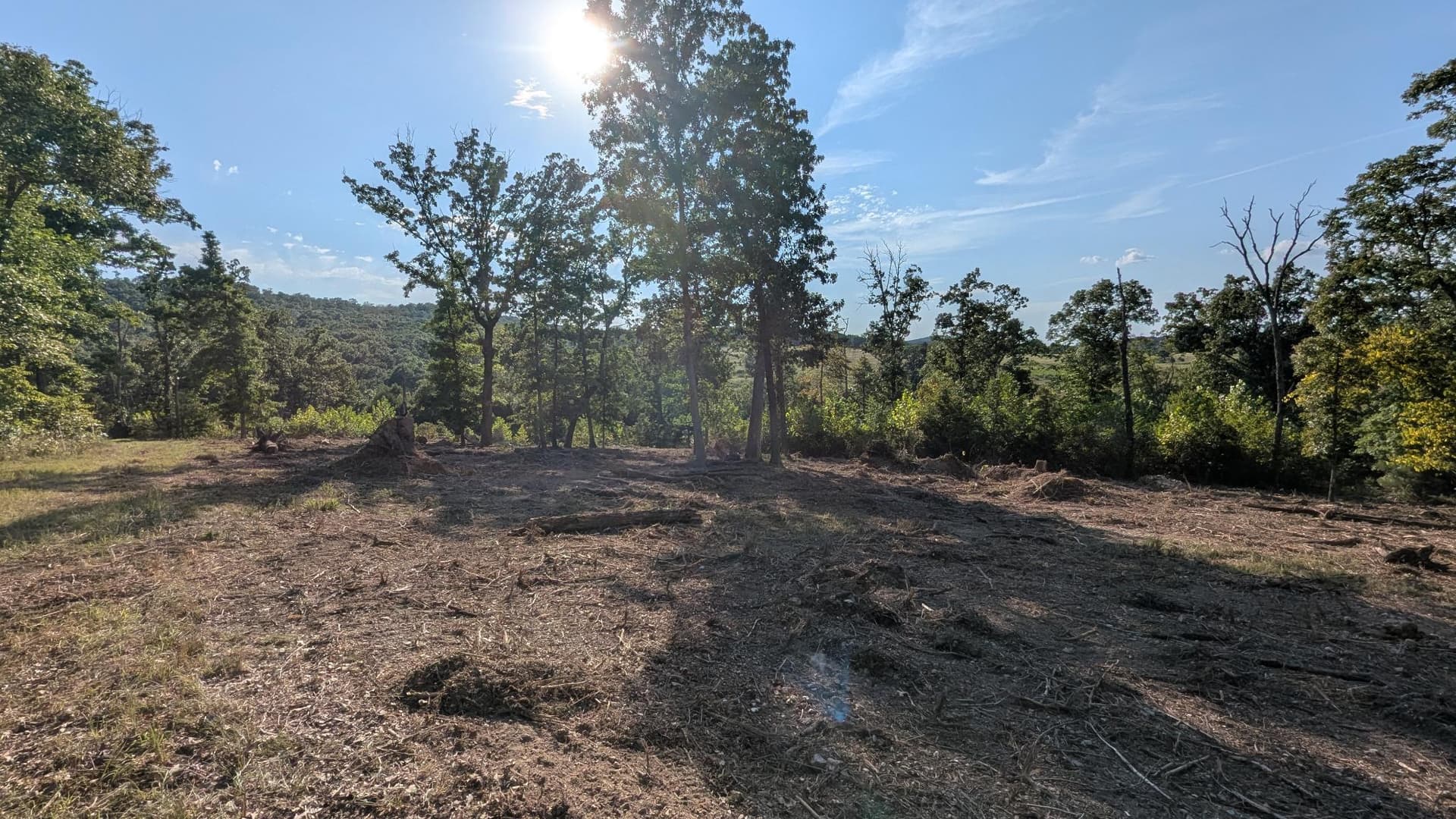 Gallery photos for Hilltop Forestry Mulching Near the National Forest: Image #3