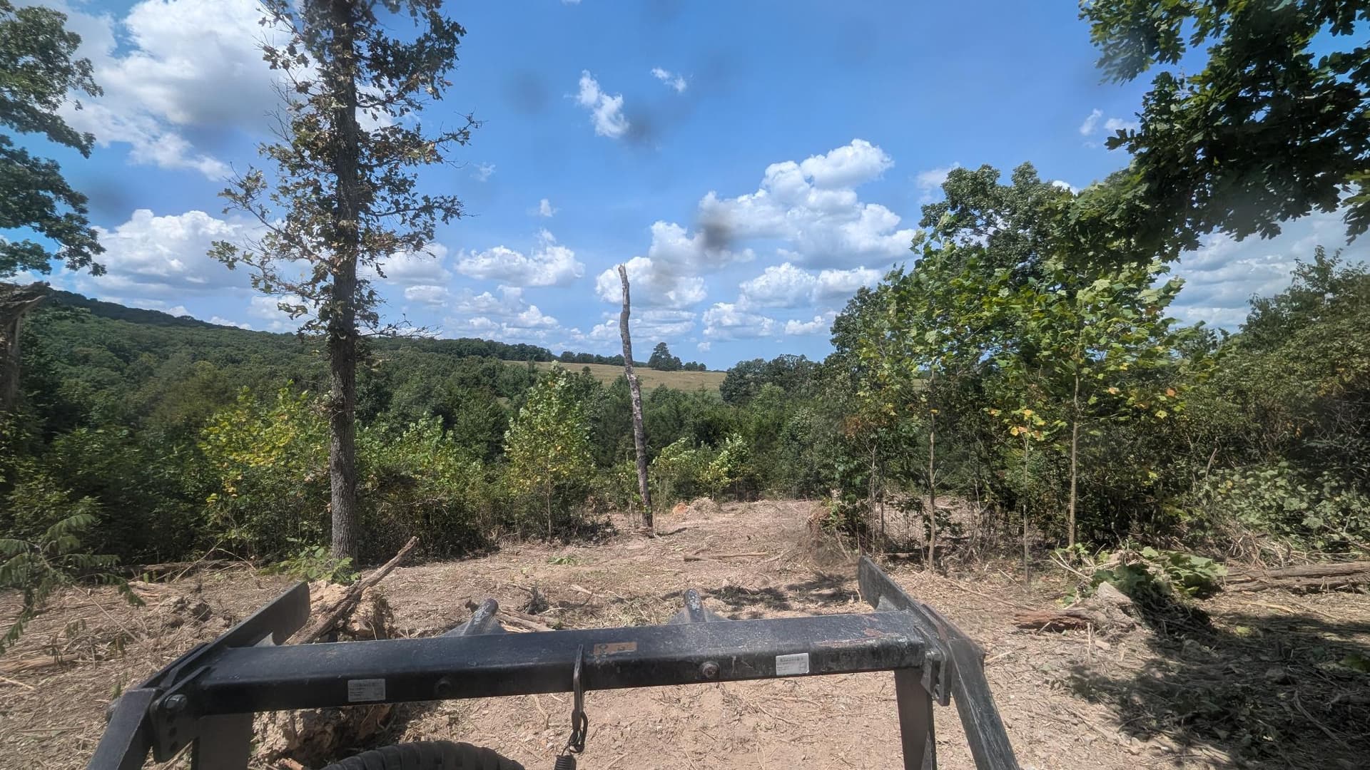 Gallery photos for Hilltop Forestry Mulching Near the National Forest: Image #4