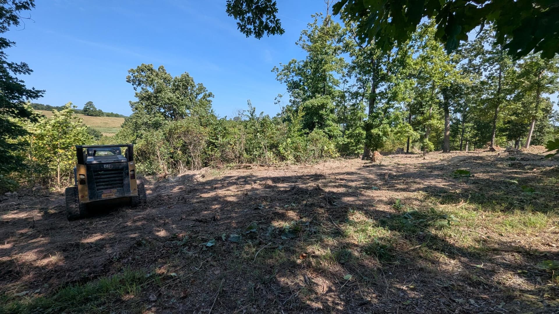 Gallery photos for Hilltop Forestry Mulching Near the National Forest: Image #6