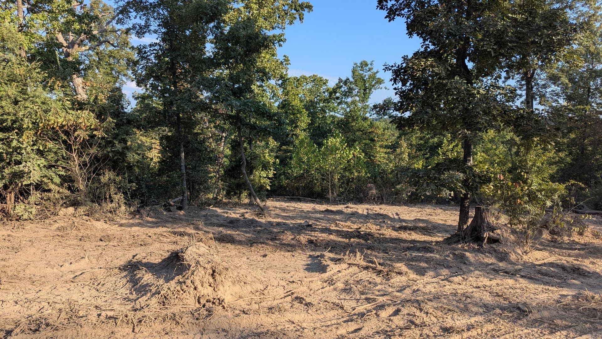 Gallery photos for Large Acreage Land Clearing with Forestry Mulching and Grapple Work: Image #3
