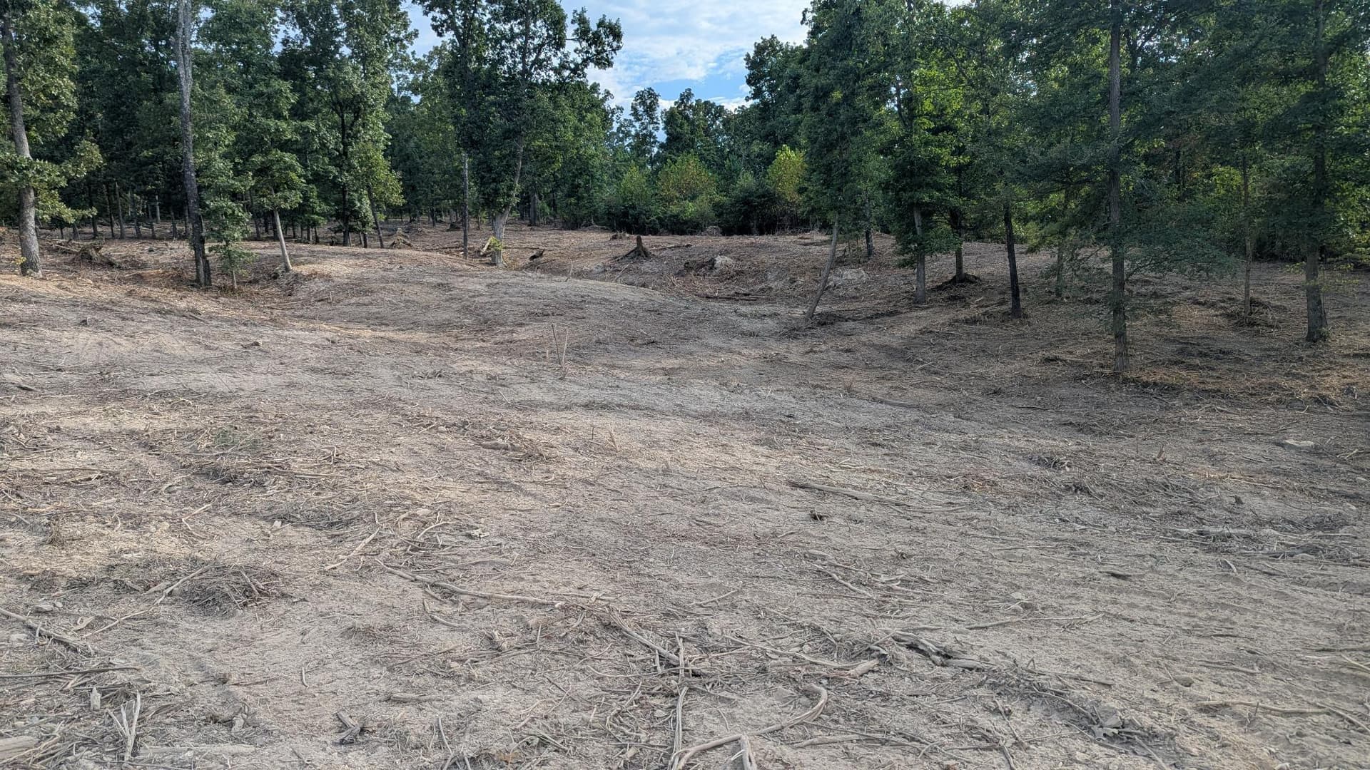 Gallery photos for Forestry Mulching and Grapple Work Gets This Land Ready to Plant: Image #1